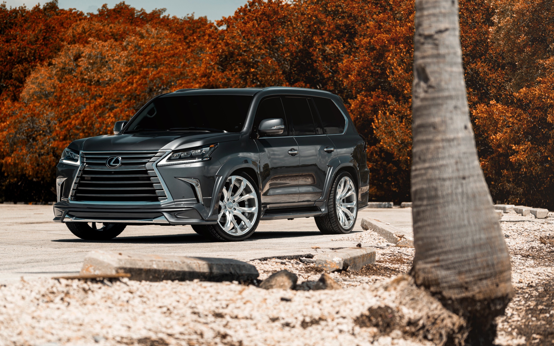 Стильный внедорожник Lexus Lx  2018