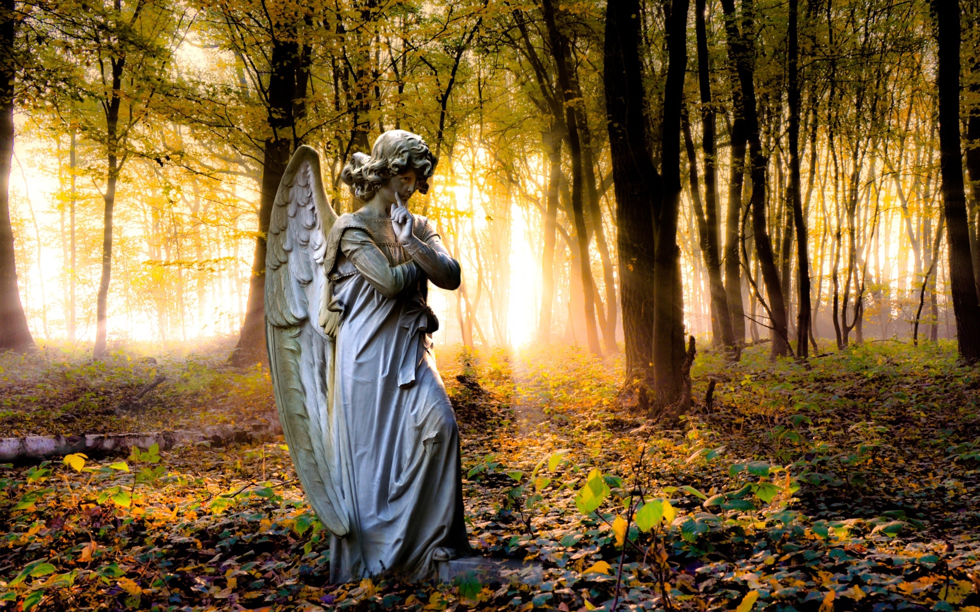 Статуя ангела в лесу в лучах солнца