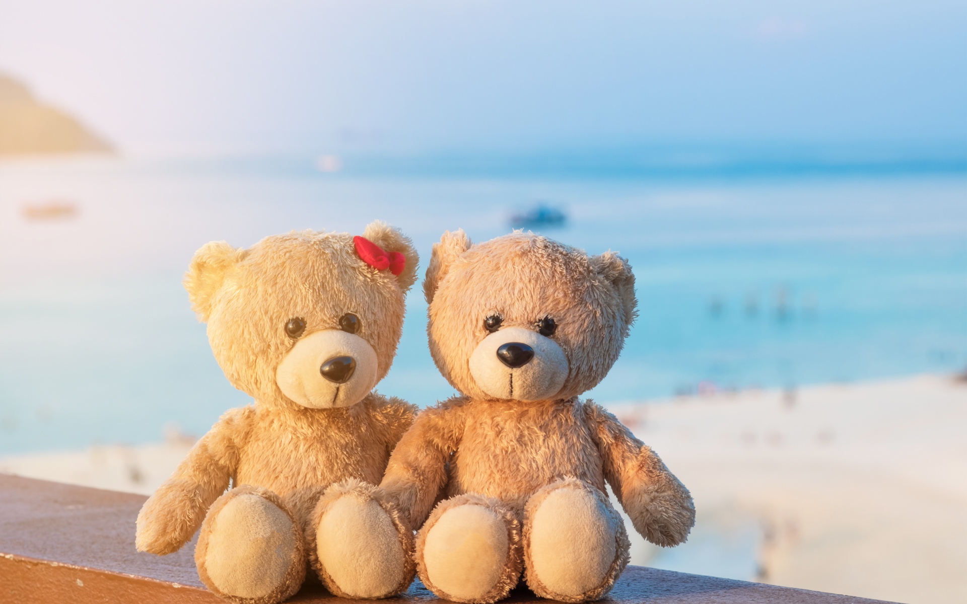 Два плюшевых медведя на фоне моря
