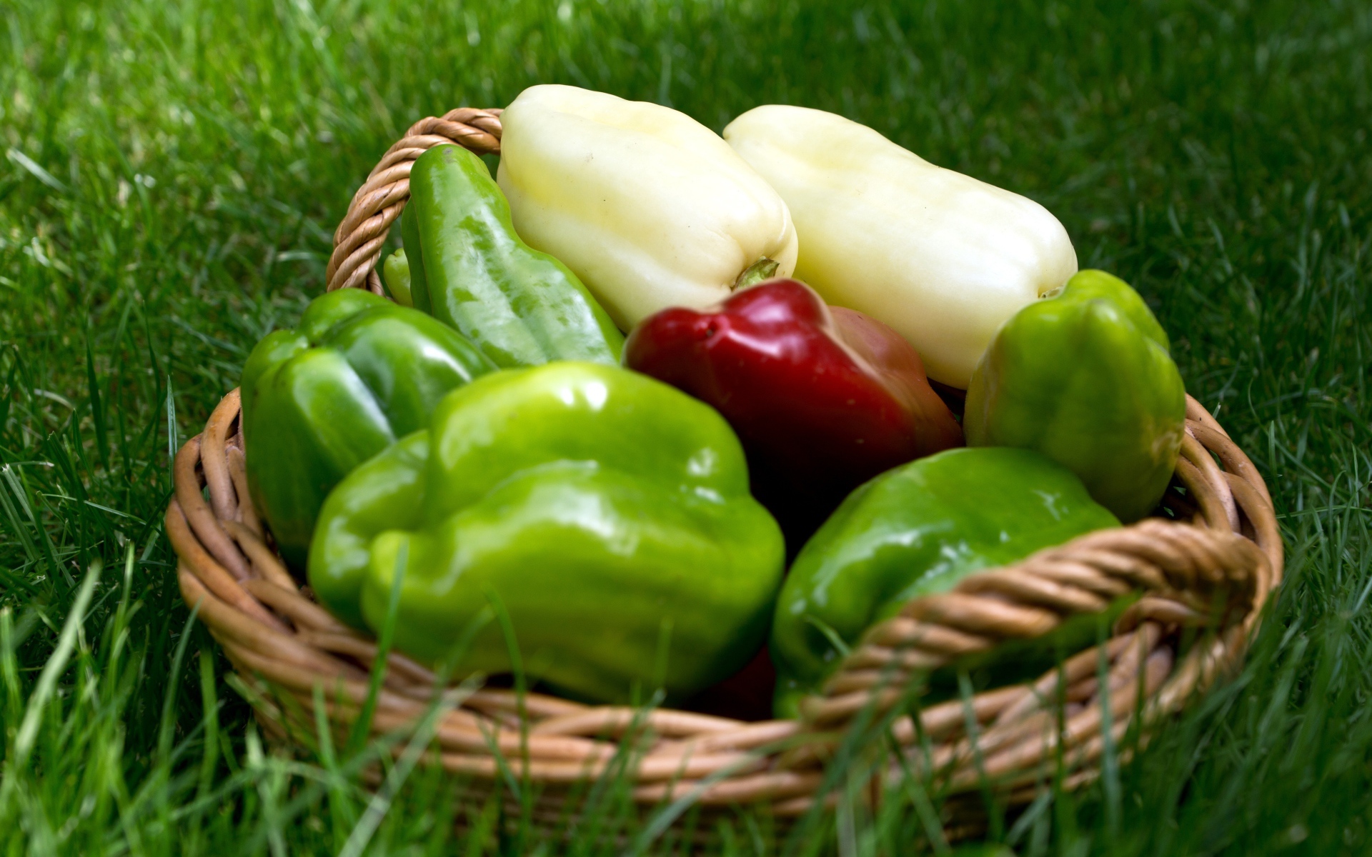 Разноцветный сладкий перец в корзинке стоит на зеленой траве