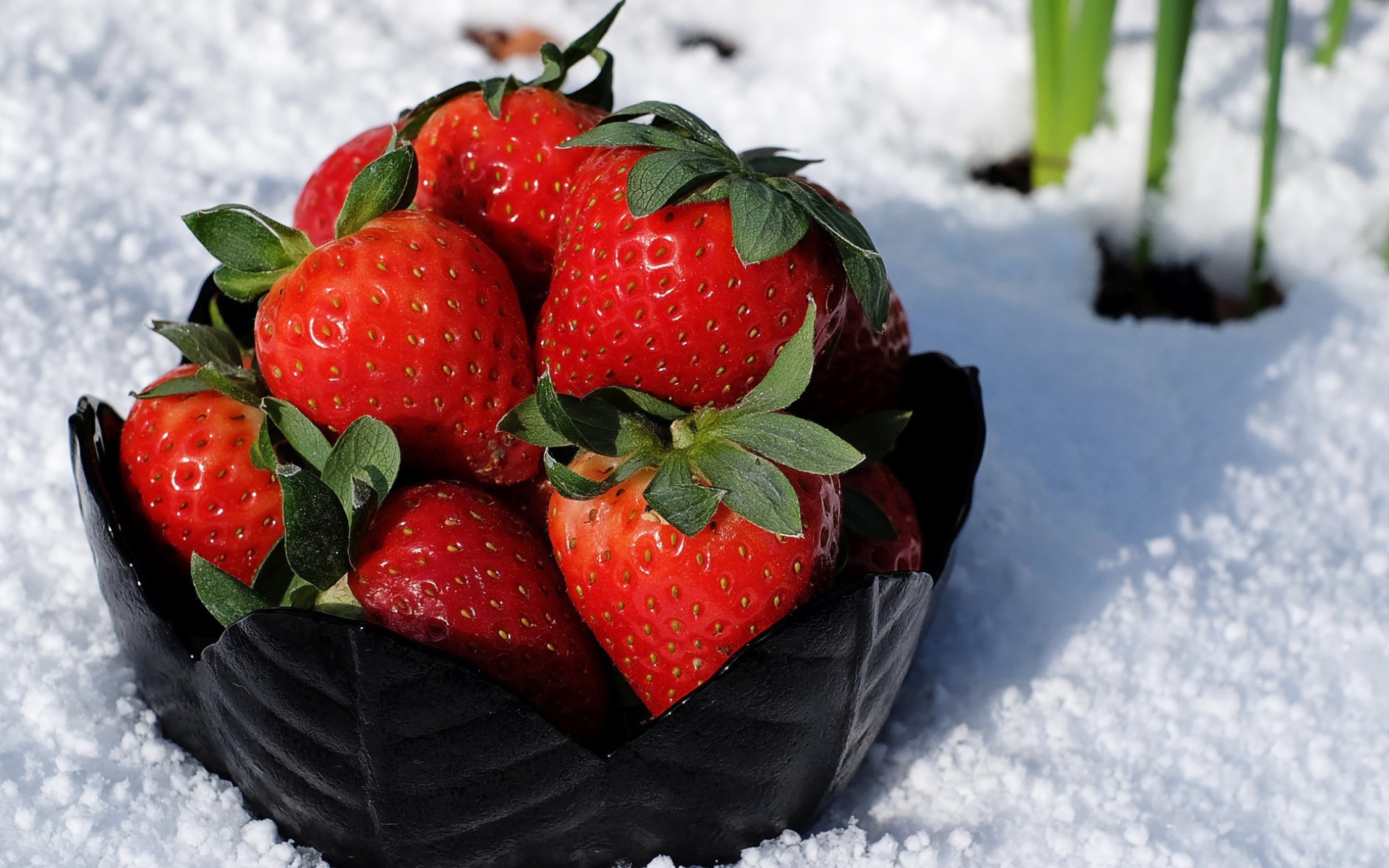 Тарелка со спелой красной клубникой стоит на белом снегу
