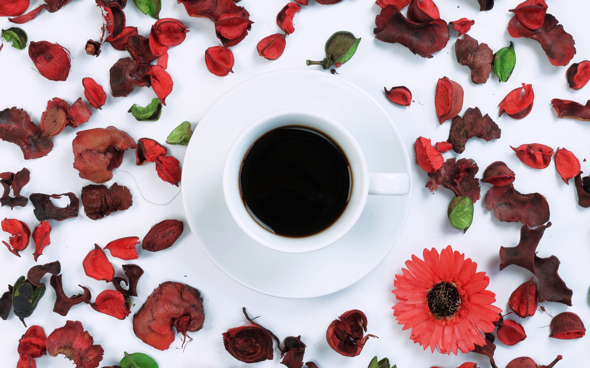 Чашка кофе на белой поверхности с сухими лепестками 