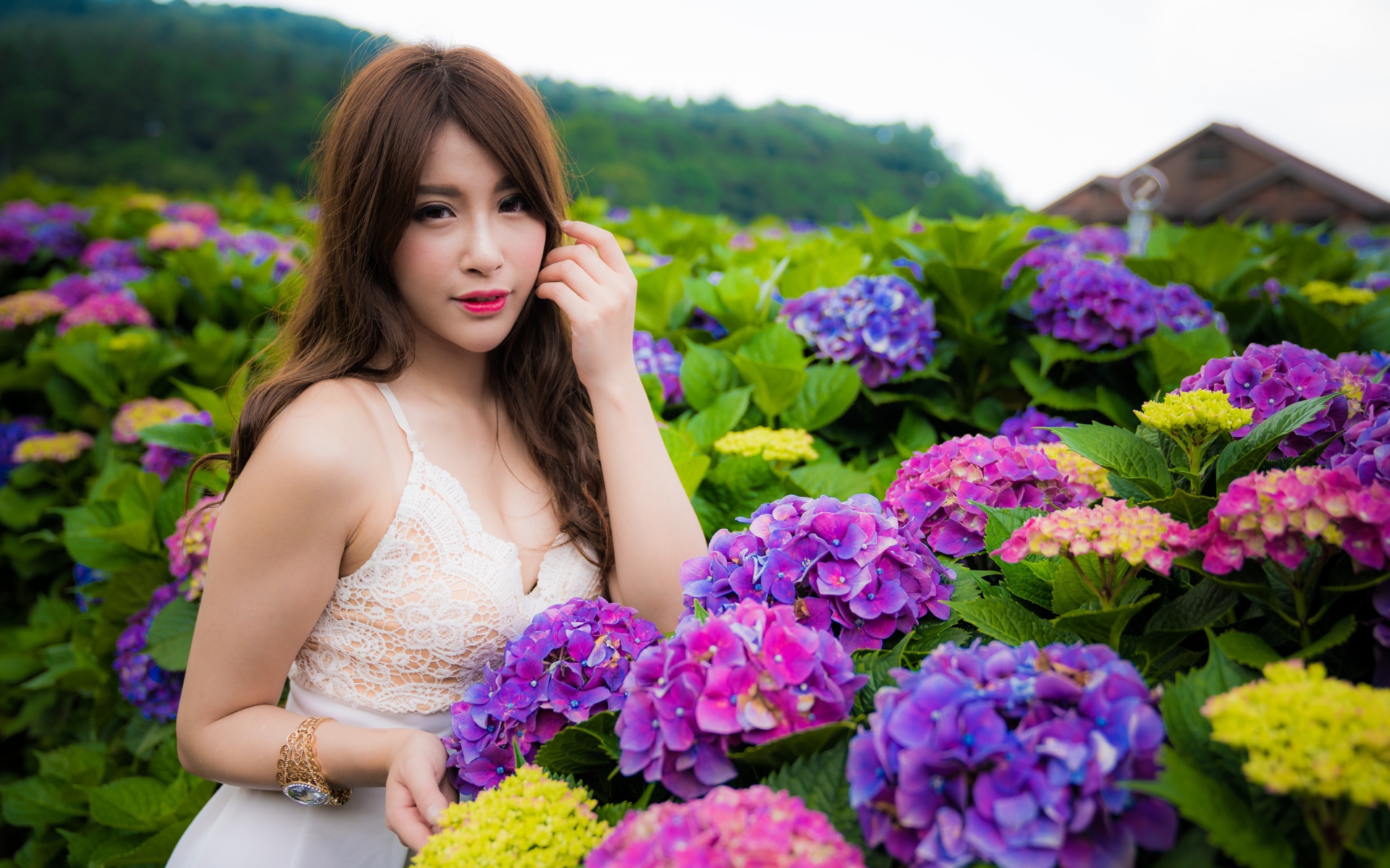 Красивая девушка азиатка с цветами гортензии  