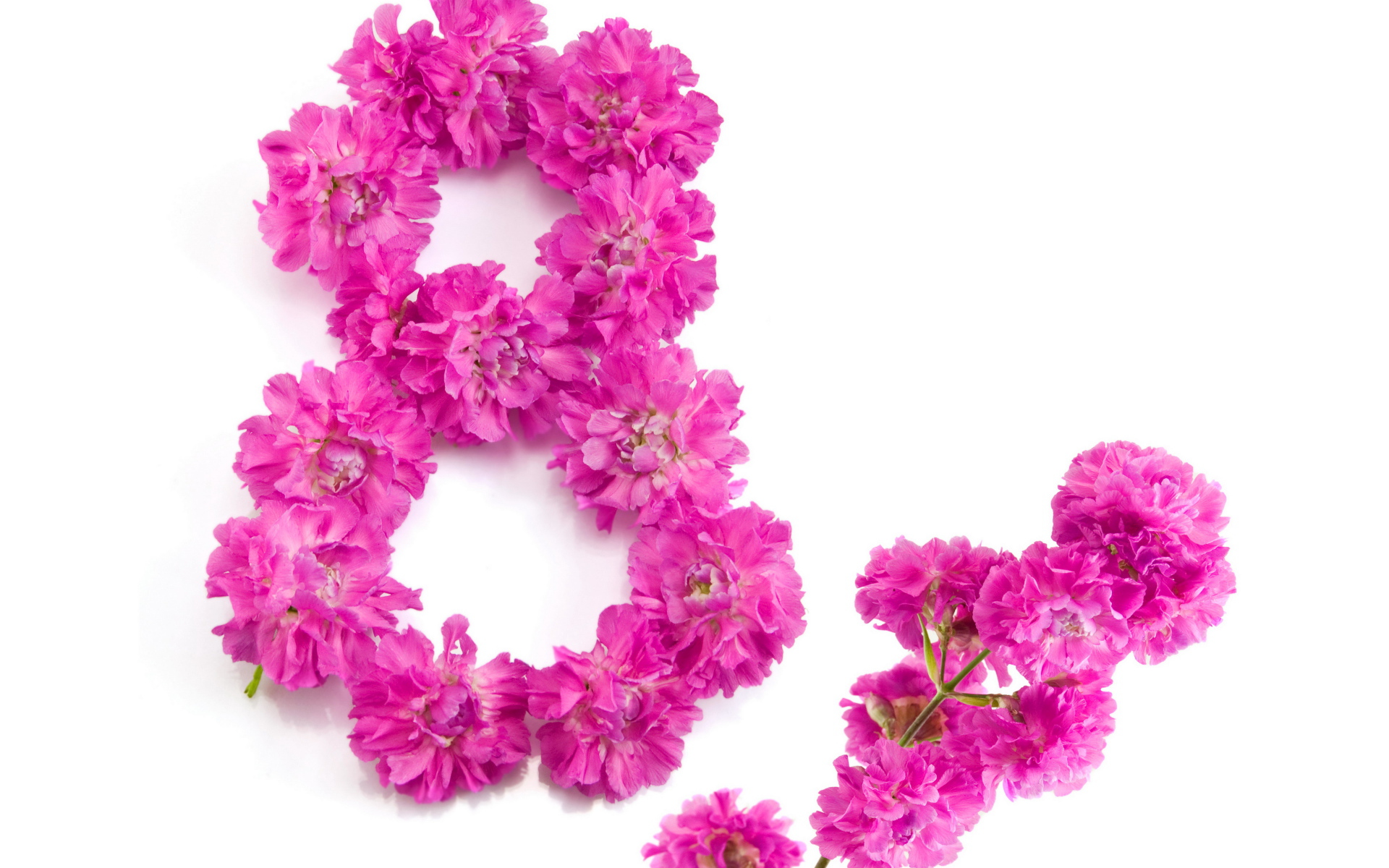 Восьмерка из розовых цветов гвоздики на Международный женский день 8 марта