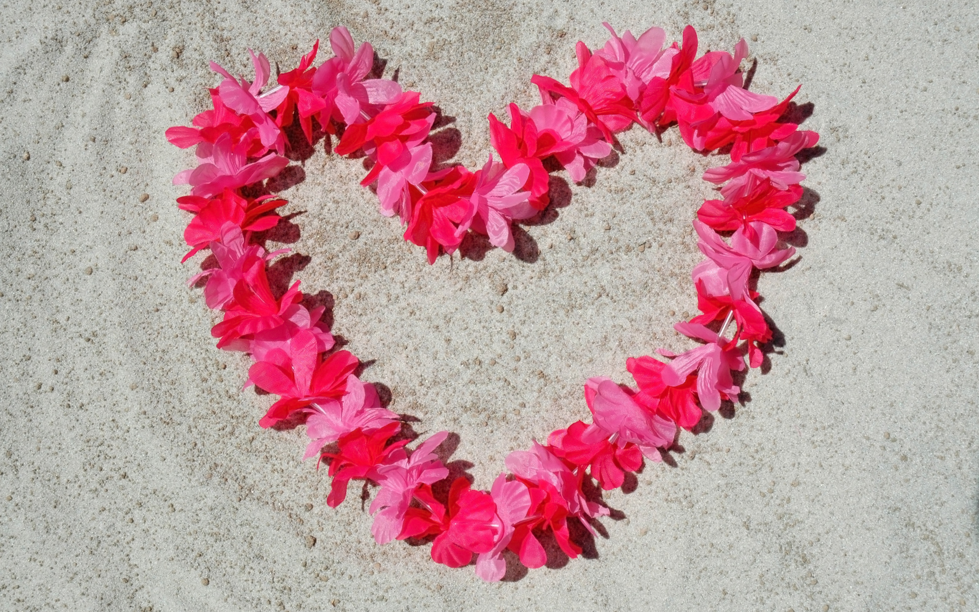 Сердце из розовых цветов на песке