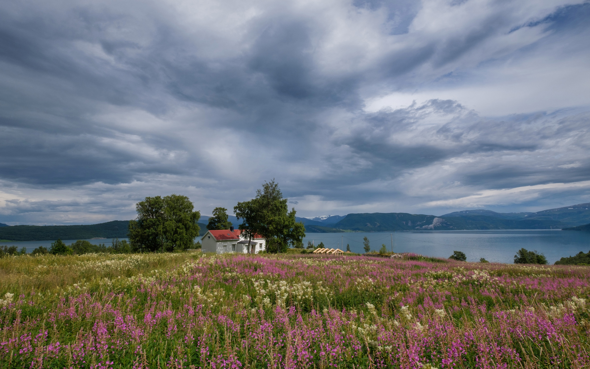 Пасмурное небо над озером и полем с красивыми цветами 