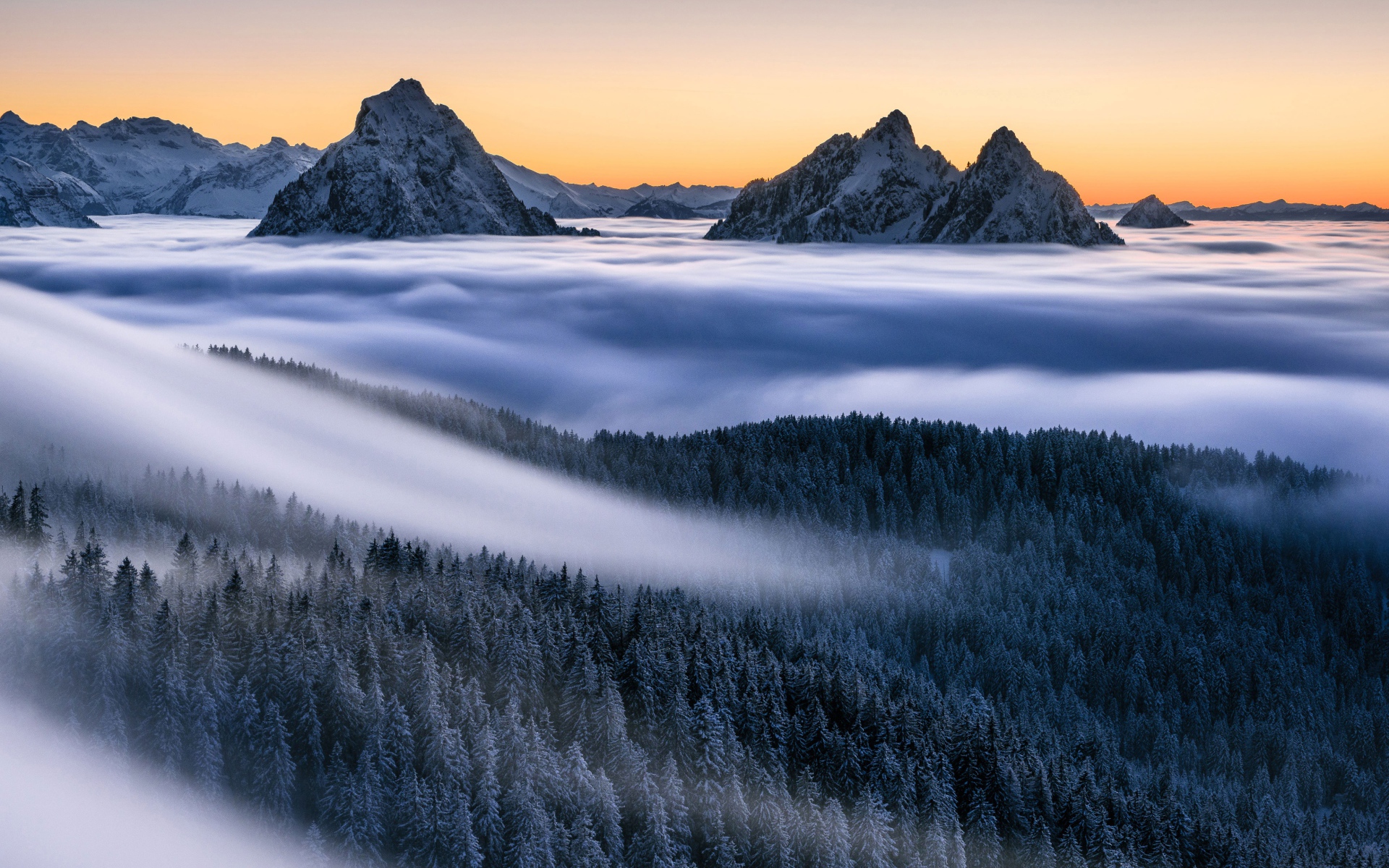 Туман покрывает лес и заснеженные верхушки гор