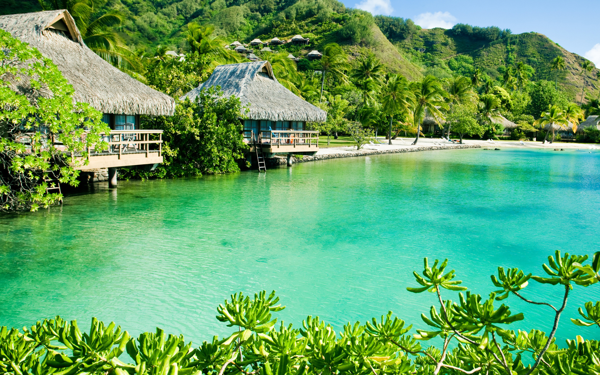 Дома на сваях на зеленом тропическом пляже