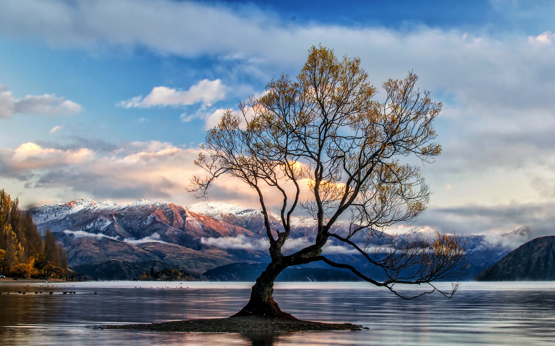 Island with a tree in the middle of the lake against the backdrop of the mountains