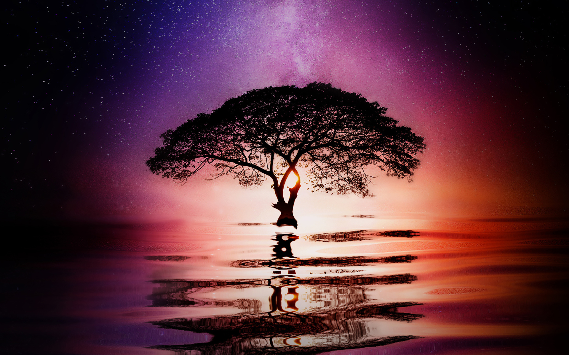 Большое ветвистое дерево в воде