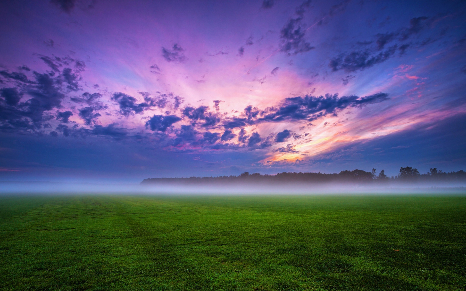 Morning mist over the field under the beautiful sky