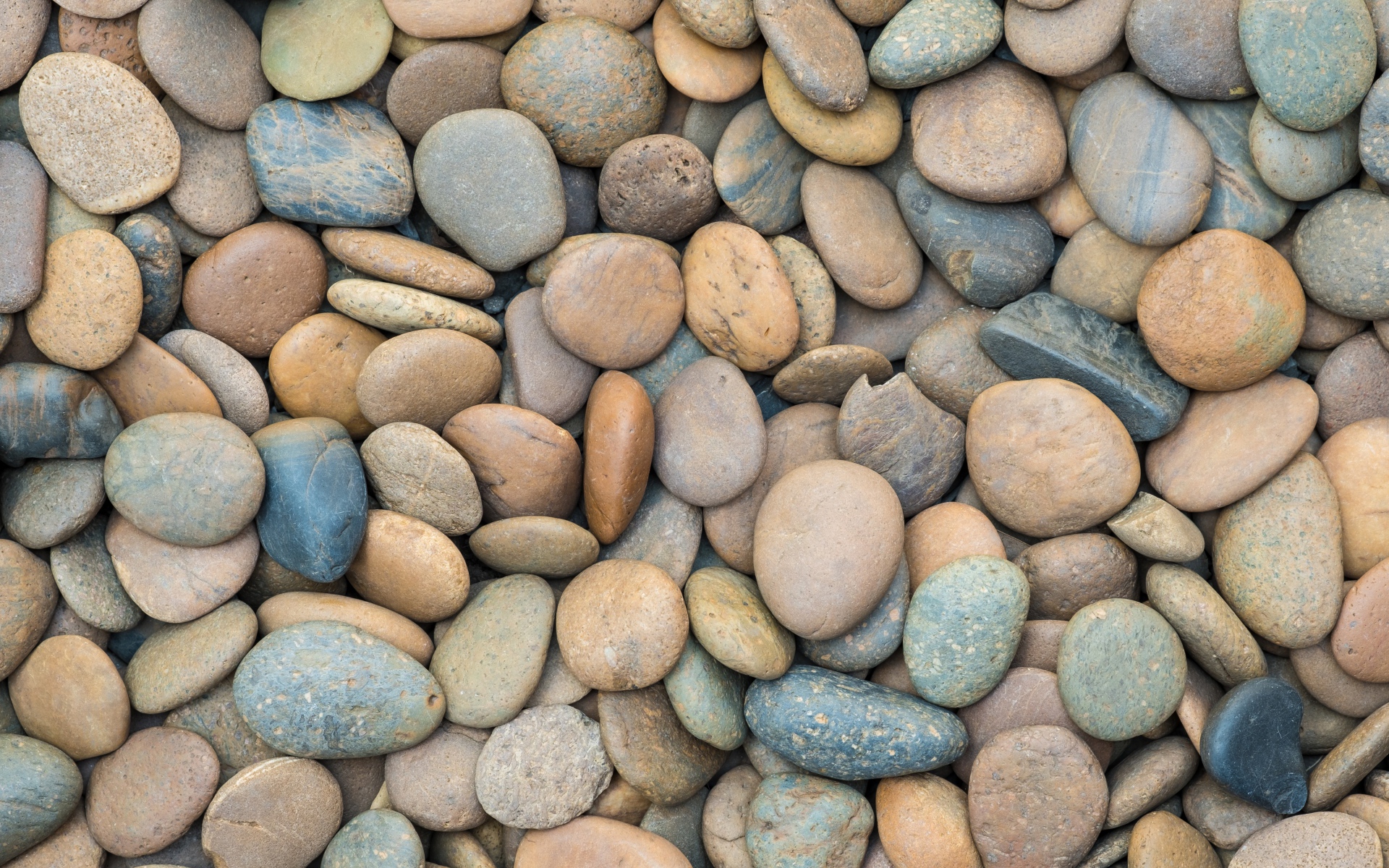 Разноцветные морские камни крупным планом