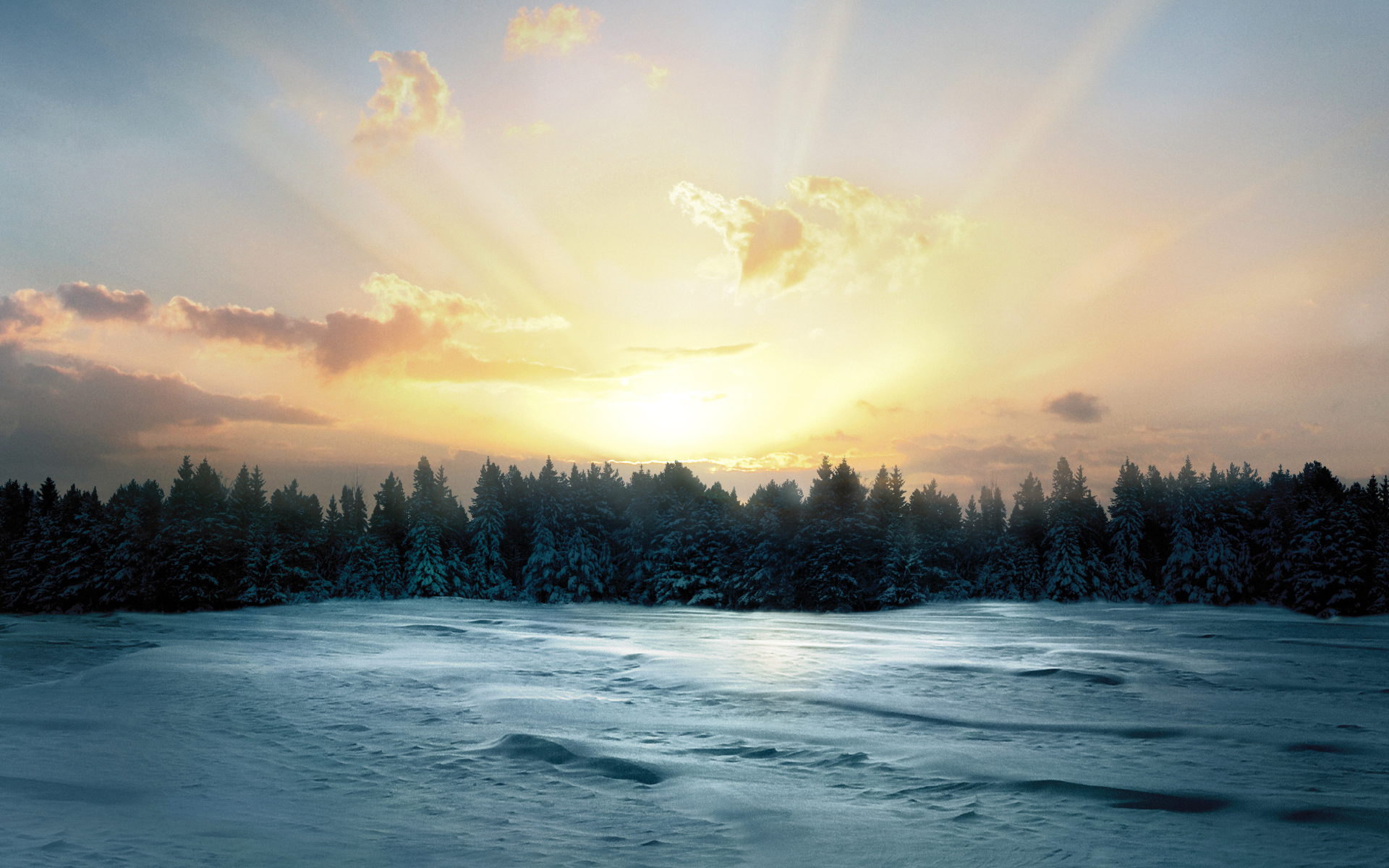 Восход солнца над заснеженным лесом