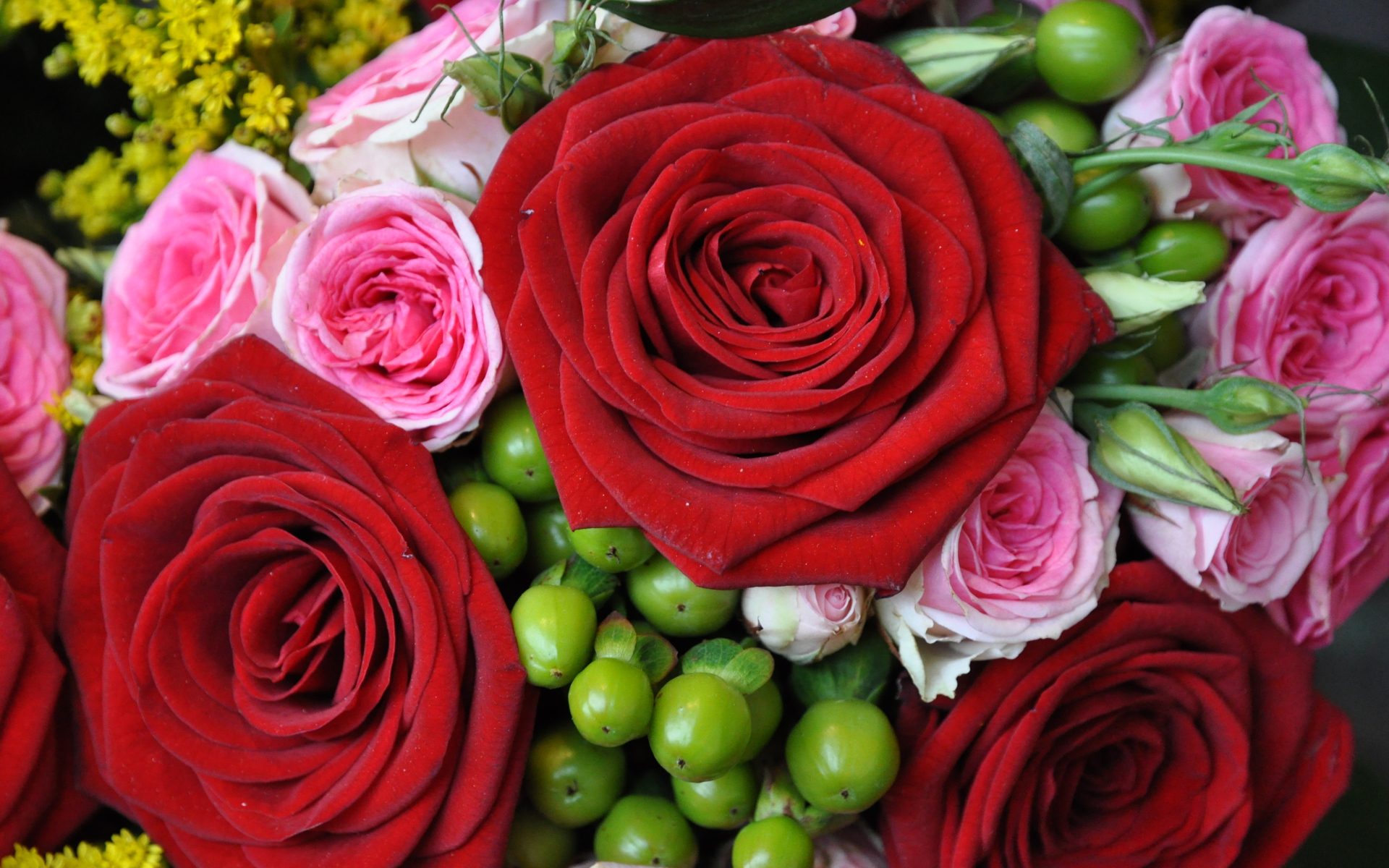 Букет из крупных красных роз с розовыми 