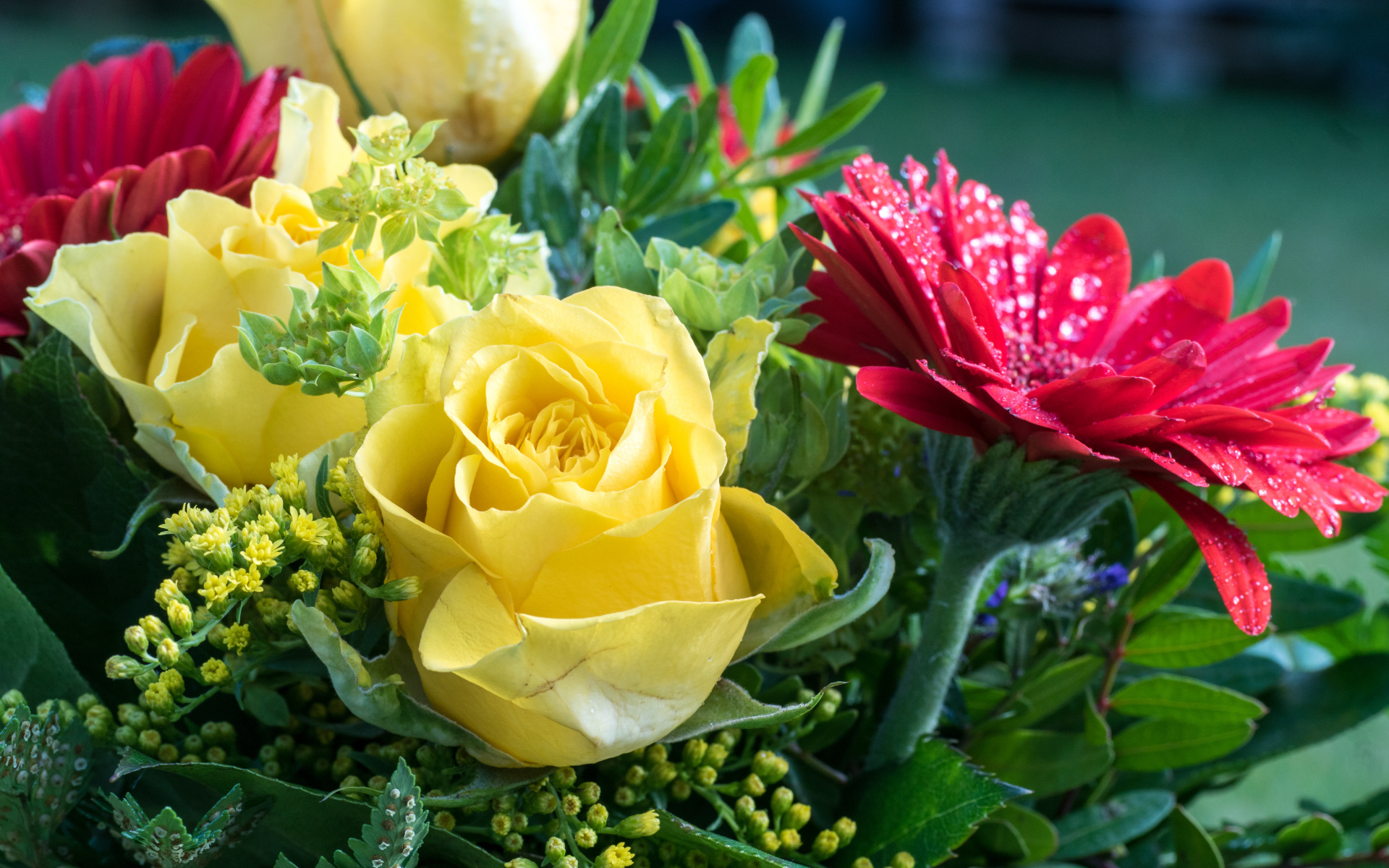 Букет желтых роз с красными цветами герберы 