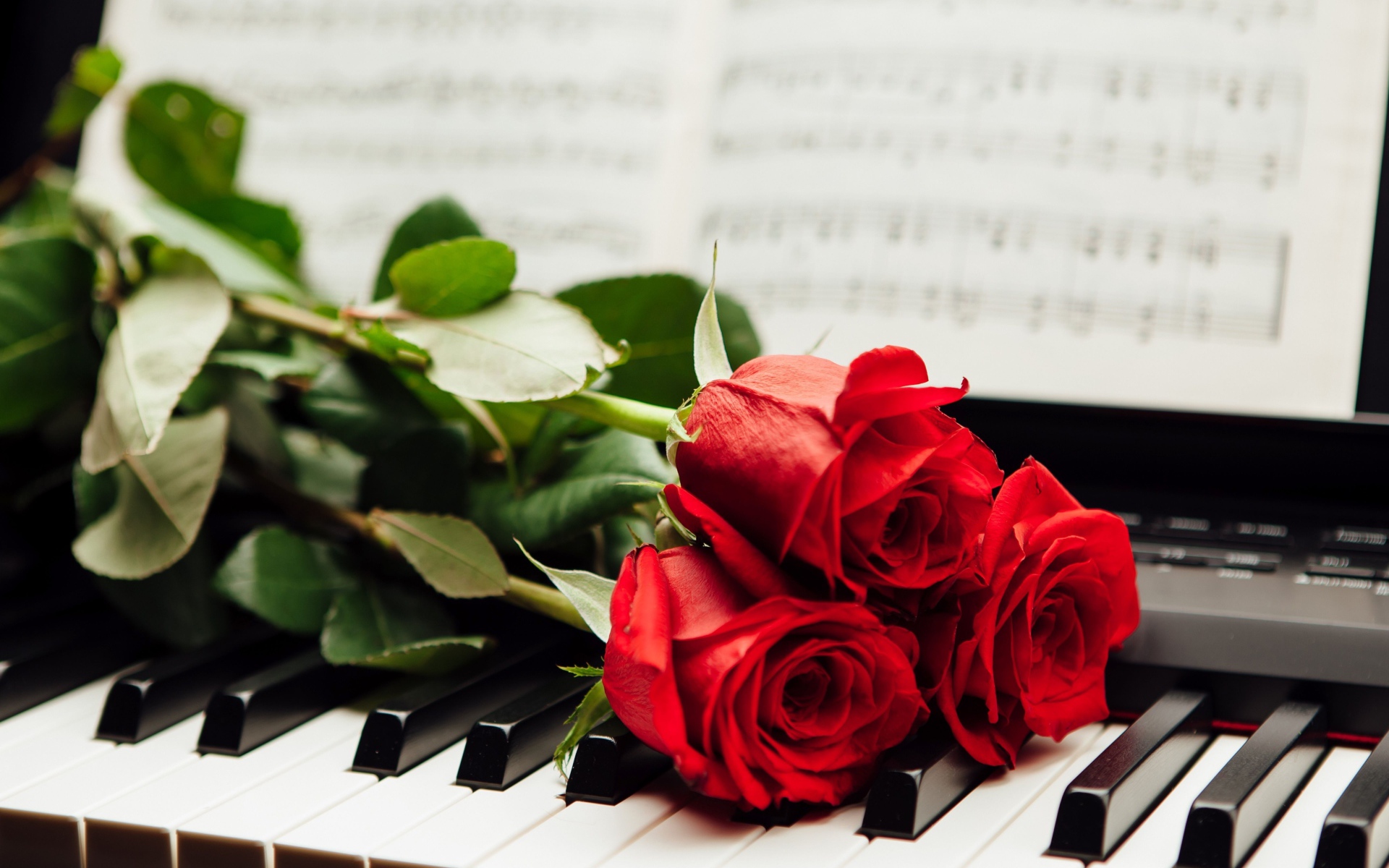 Три красные розы лежат на клавишах пианино с нотами