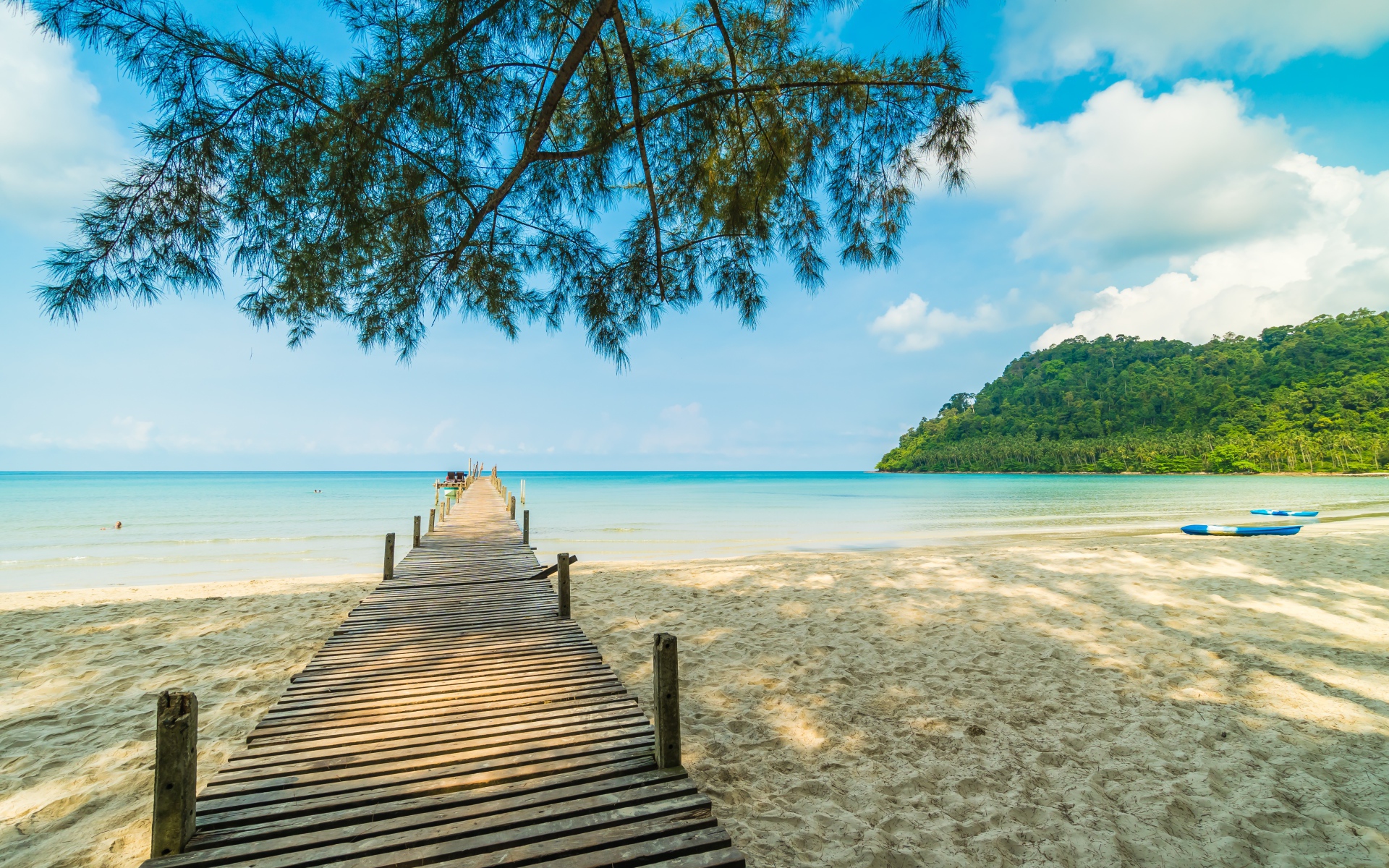 Деревянный мост под деревом в океане 