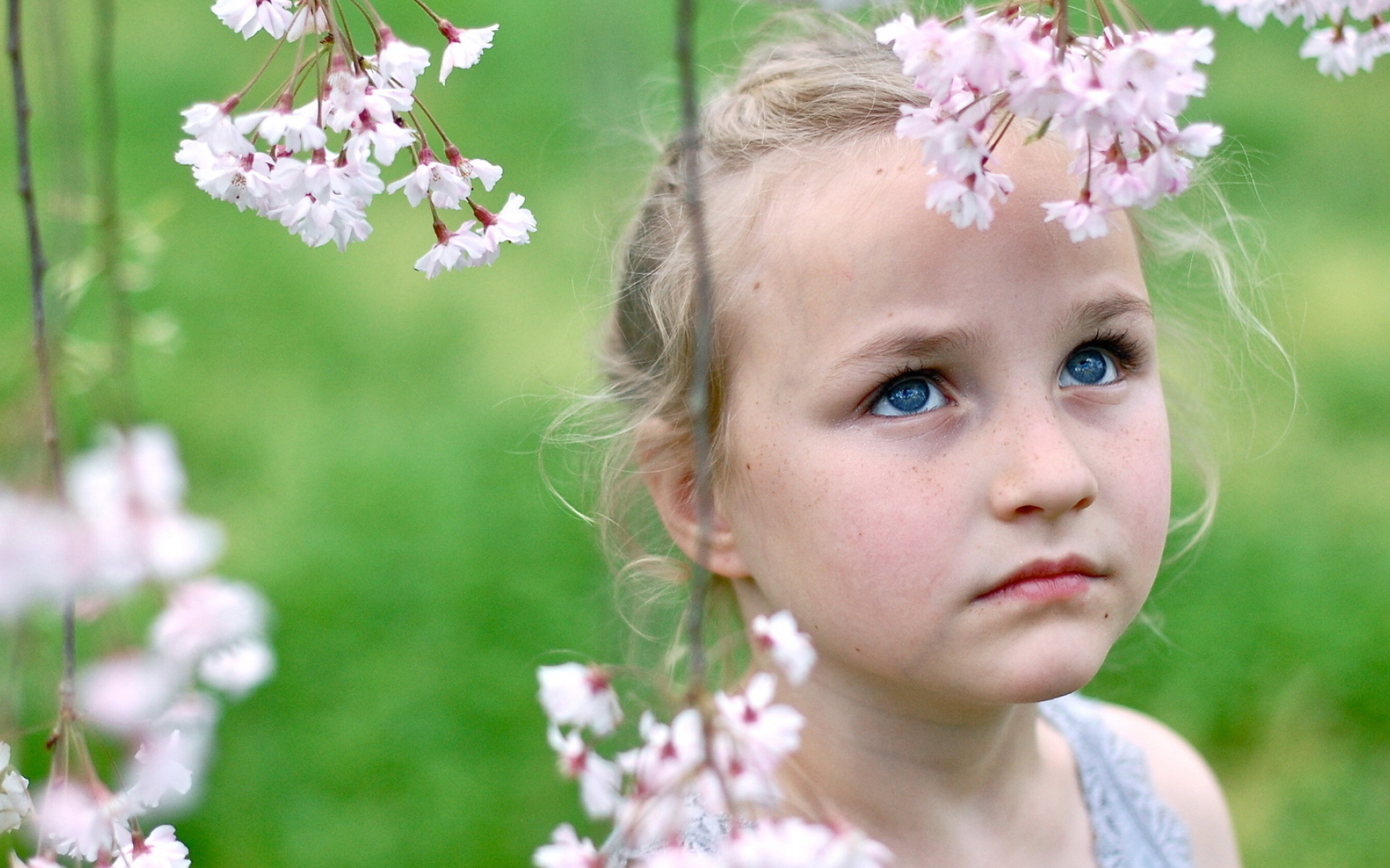 A little blue-eyed girl with branches of spring flowers