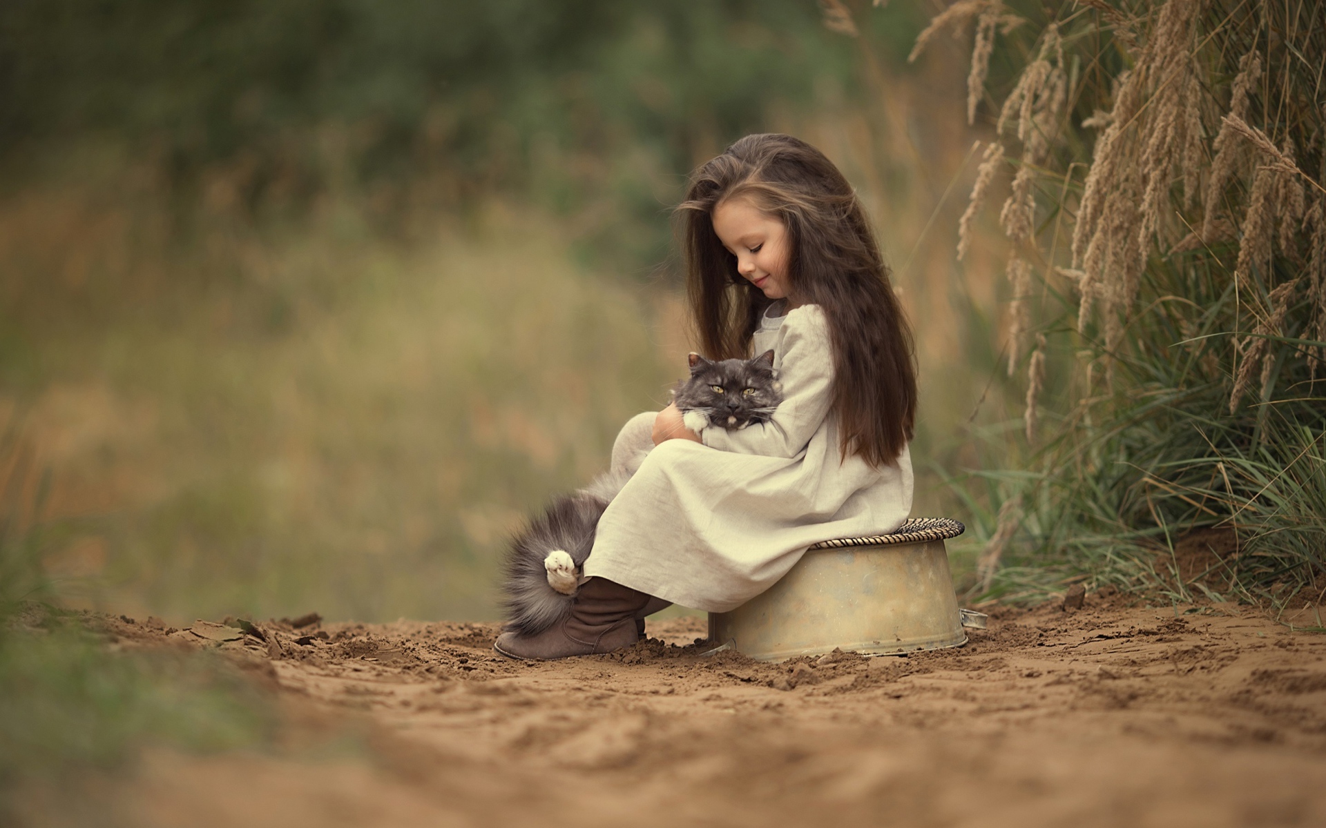 Маленькая милая девочка с котом на дороге 