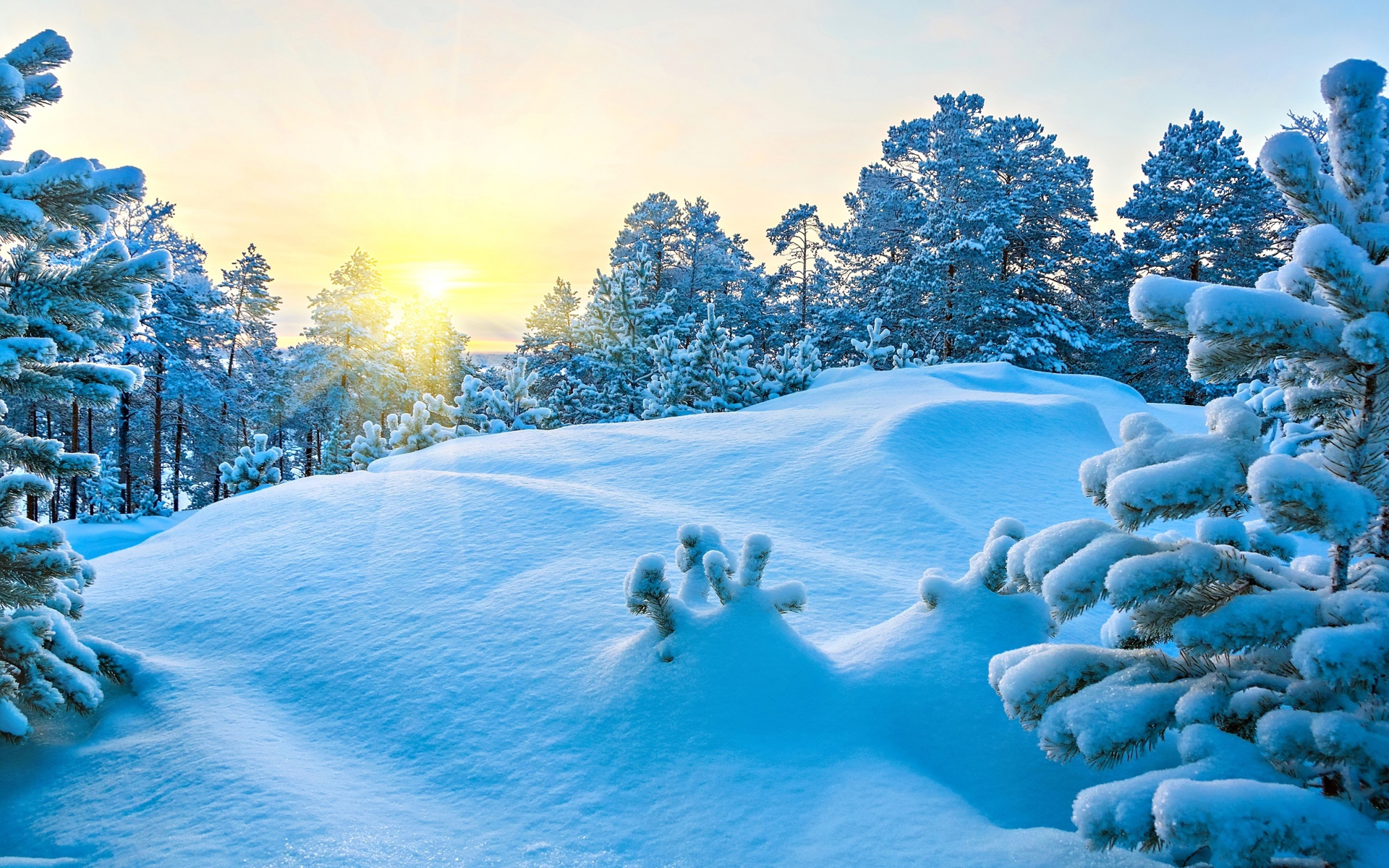 Снежные сугробы в лесу под ярким зимним солнцем