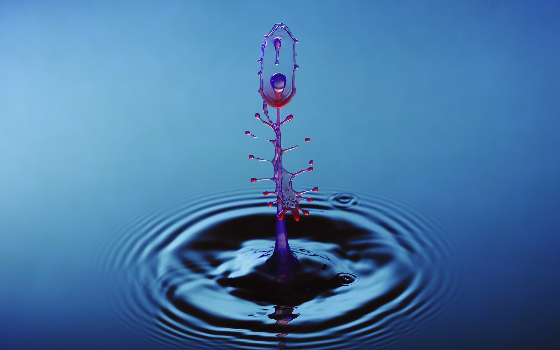 Брызги от капли воды на голубом фоне 3д графика