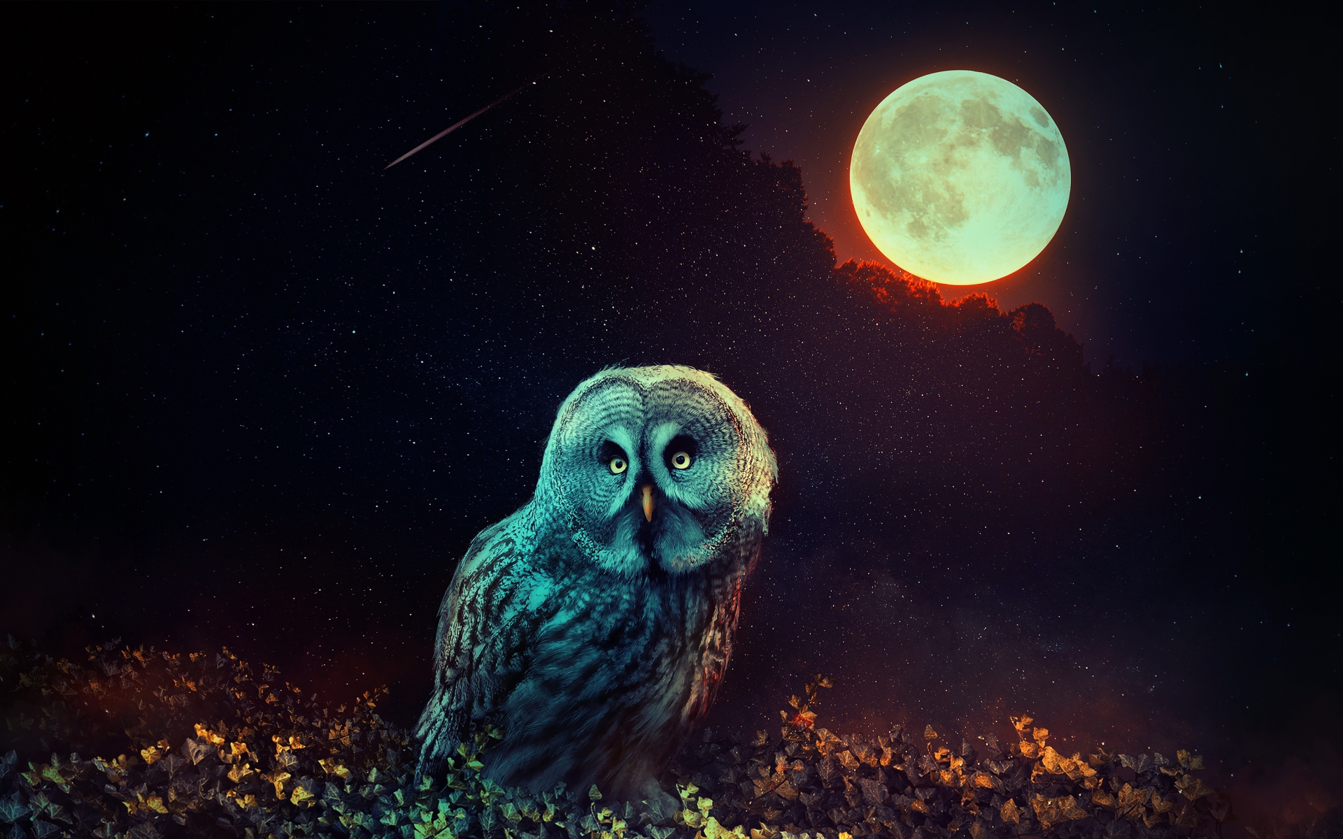 Сова  сидит на траве на фоне большой луны