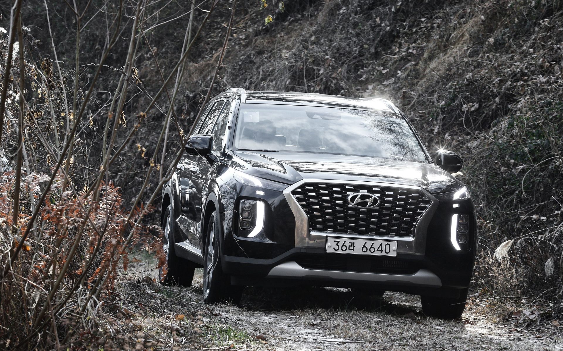 Черный внедорожник Hyundai Palisade 2019 года в зарослях 