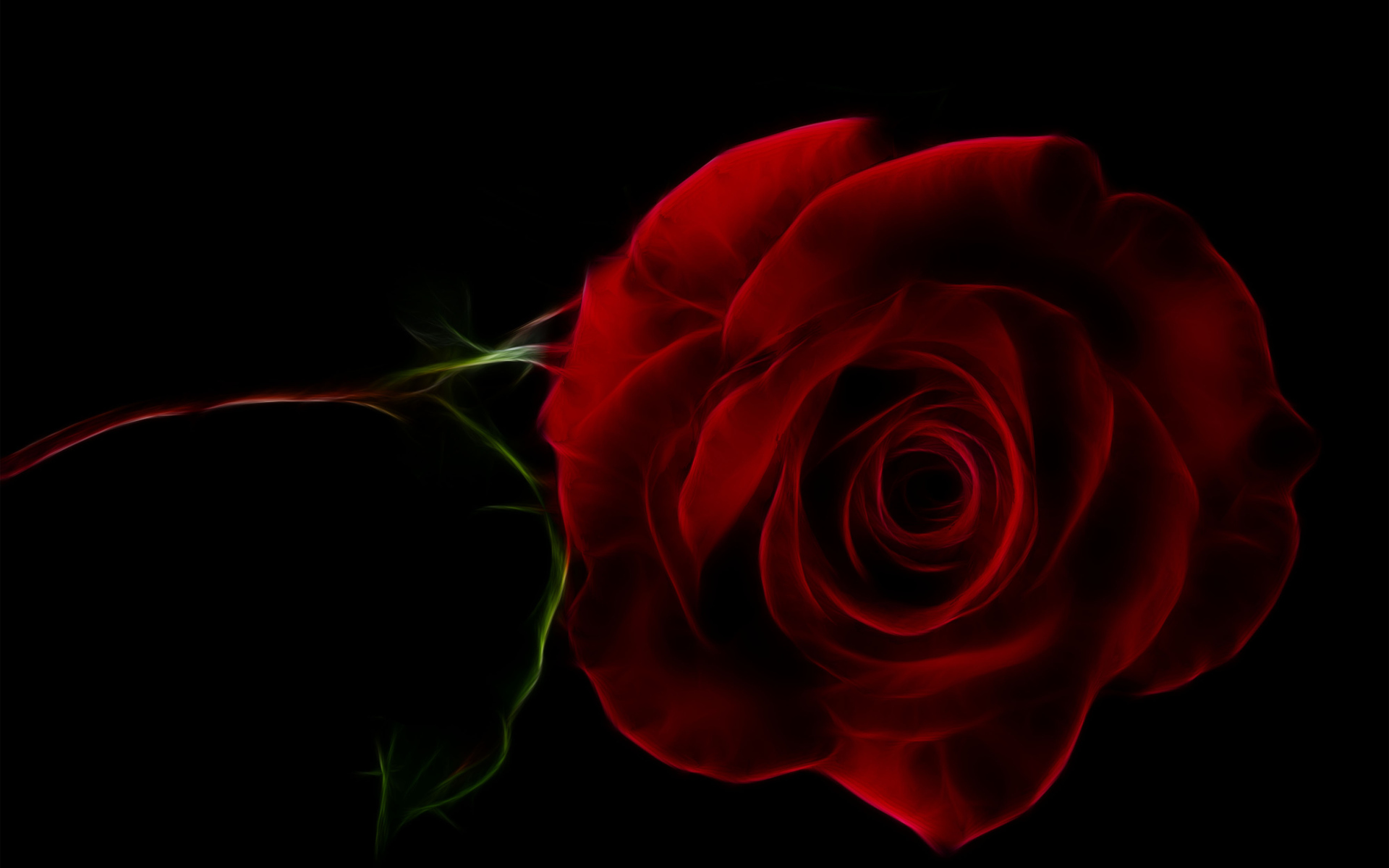 Нарисованная красная роза на черном фоне