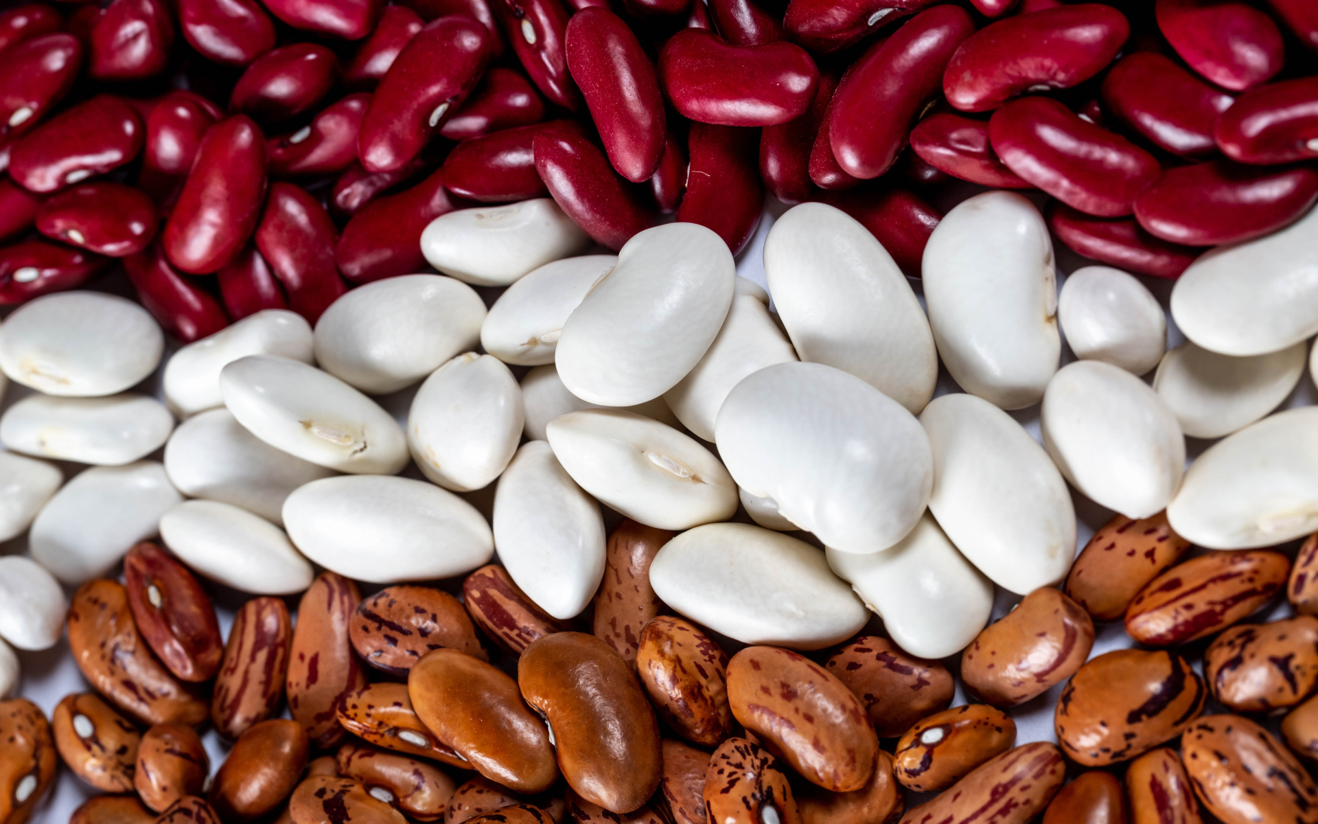 Много разноцветной фасоли крупным планом