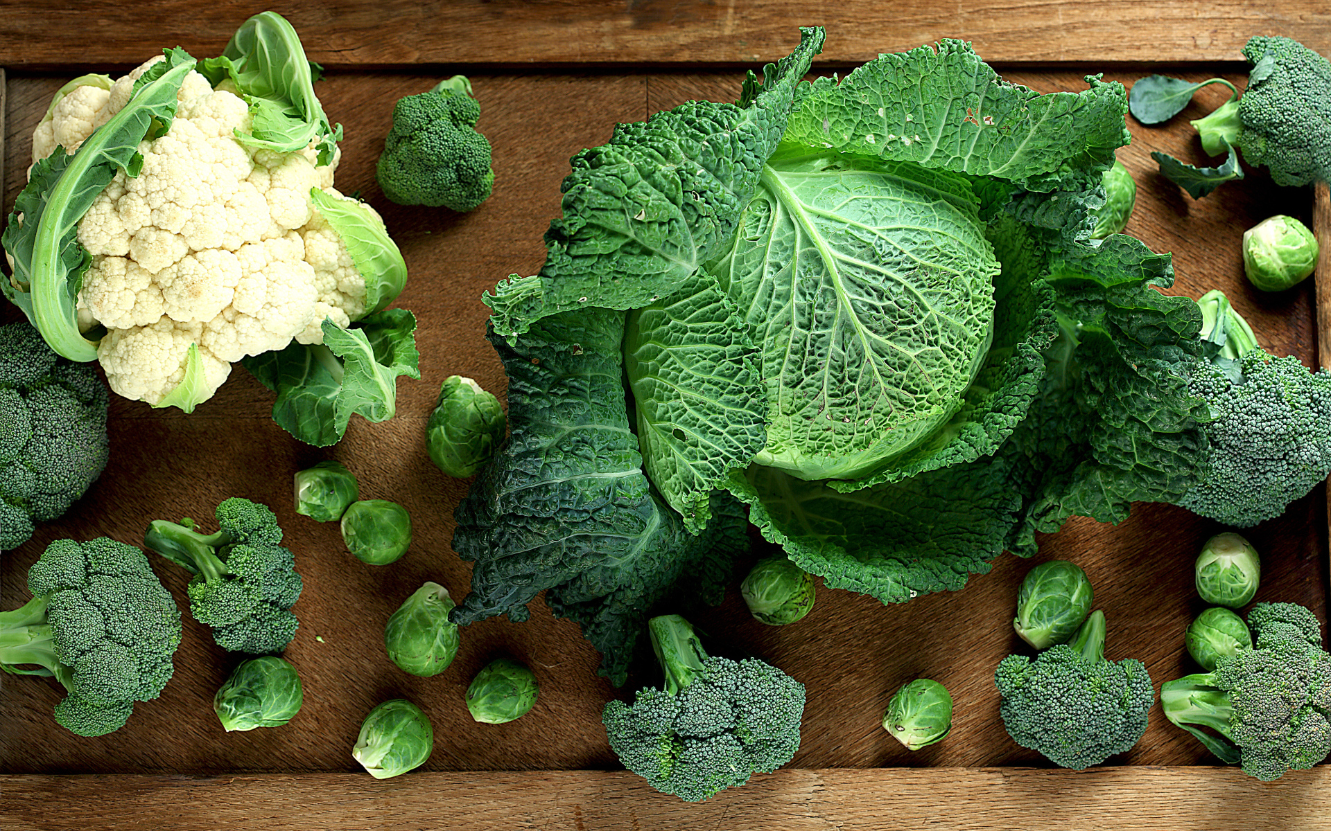 Разные виды капусты на столе вид сверху 