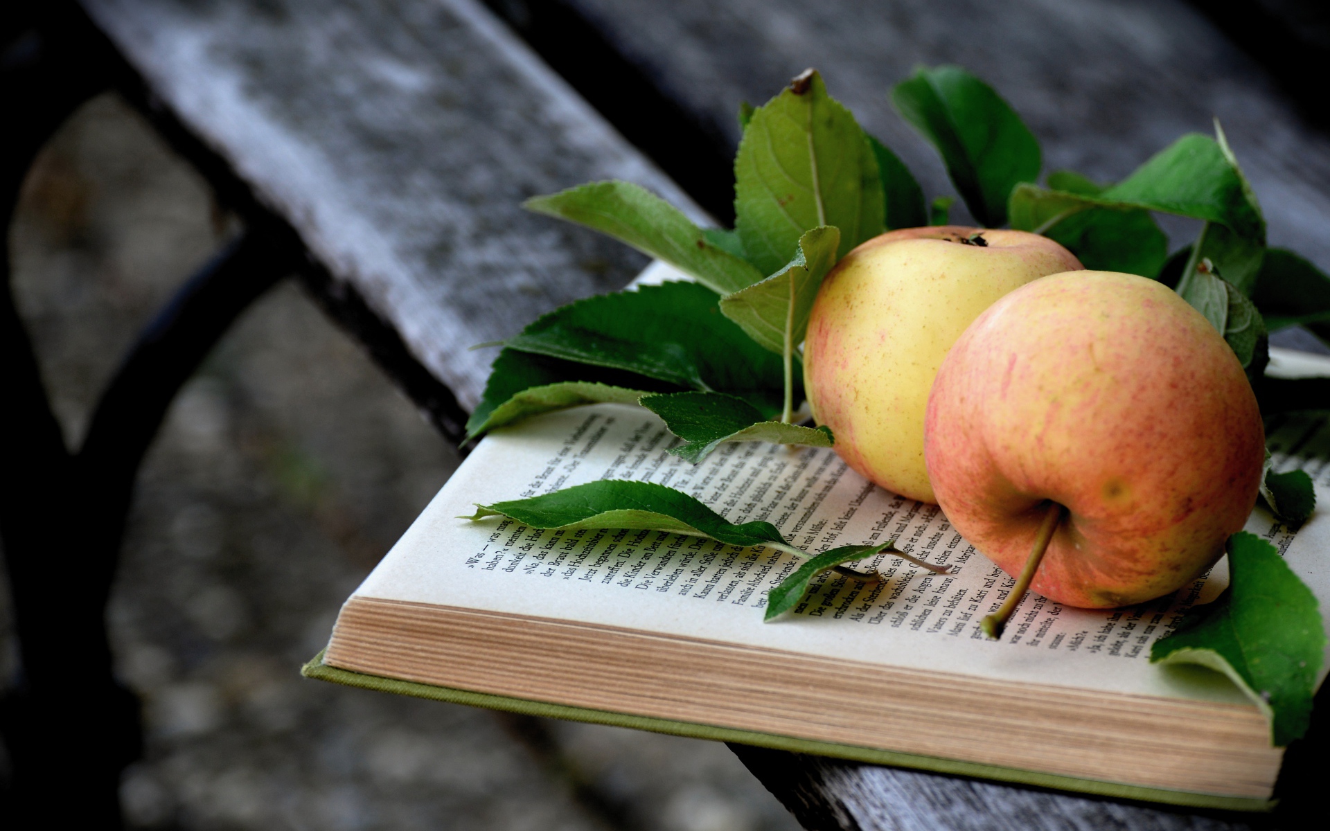 Два яблока лежат на книге на деревянной лавке