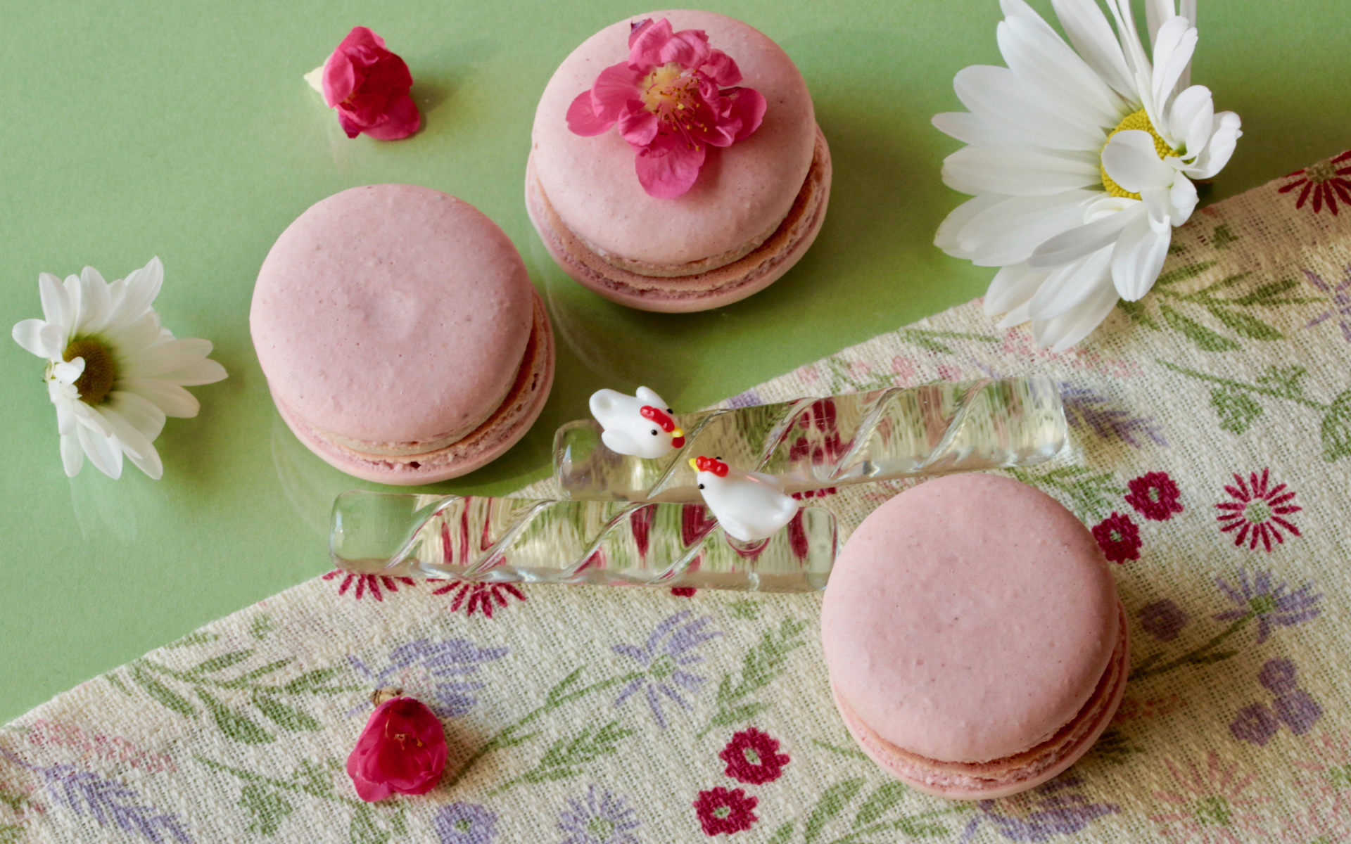Розовый десерт макарон на столе с белыми цветами ромашек