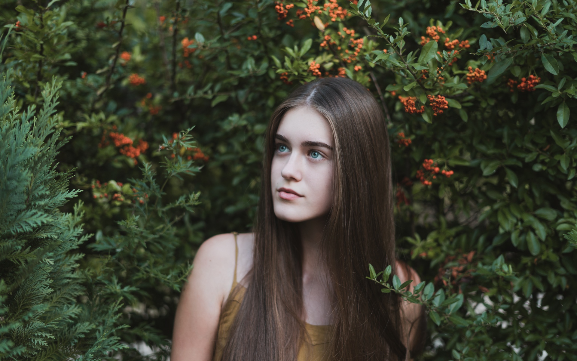 Молодая нежная девушка с длинными волосами в зеленых зарослях 