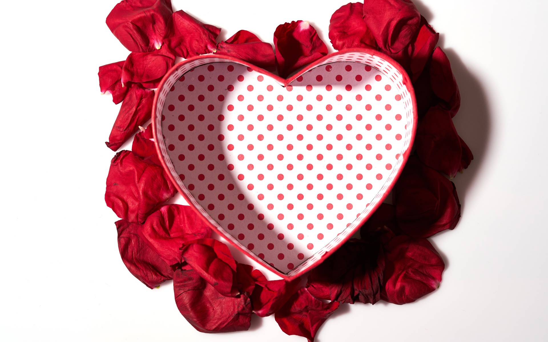 Подарочная коробка в форме сердца с лепестками красной розы на белом фоне