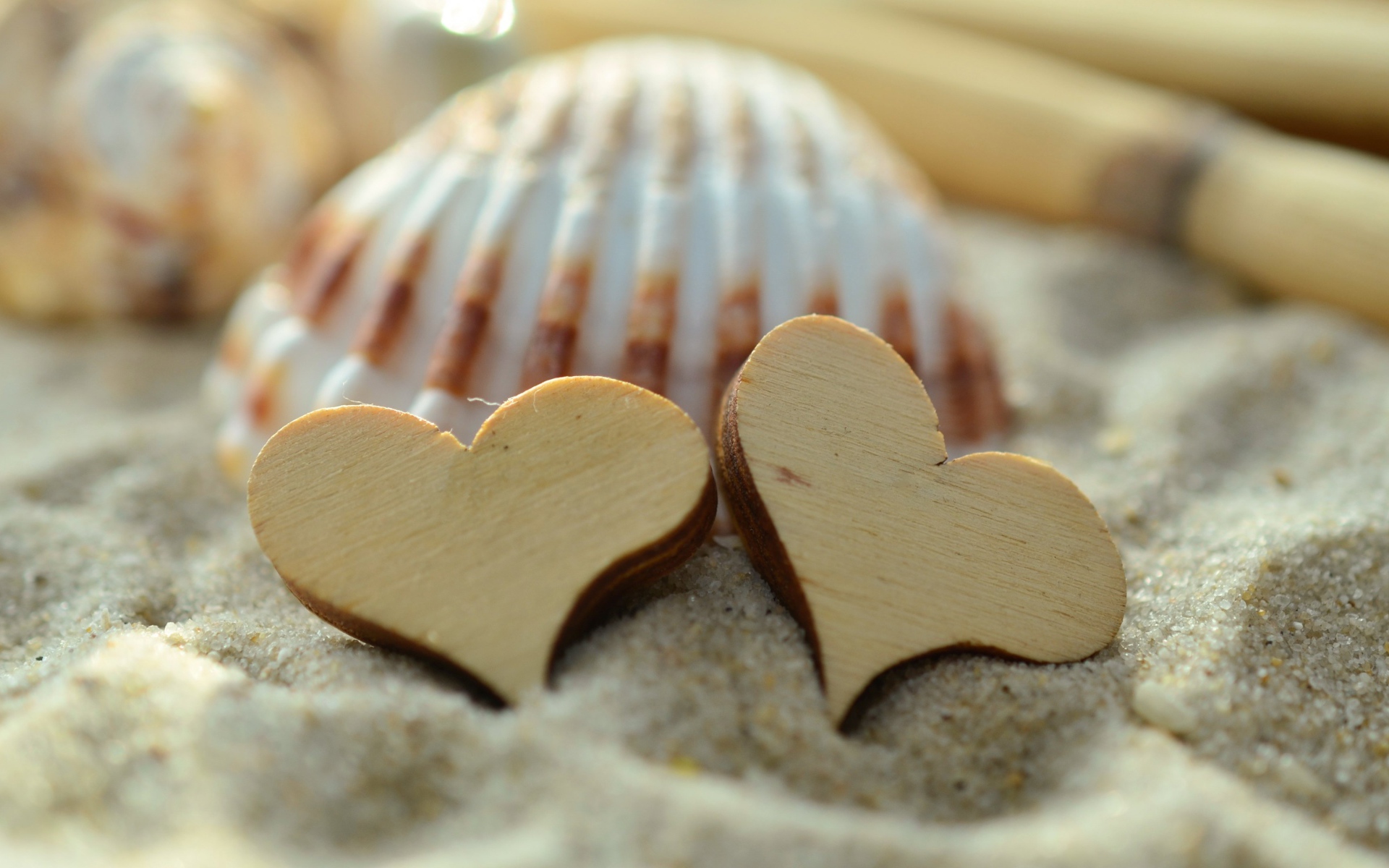 Два деревянных сердца и ракушки лежат на песке