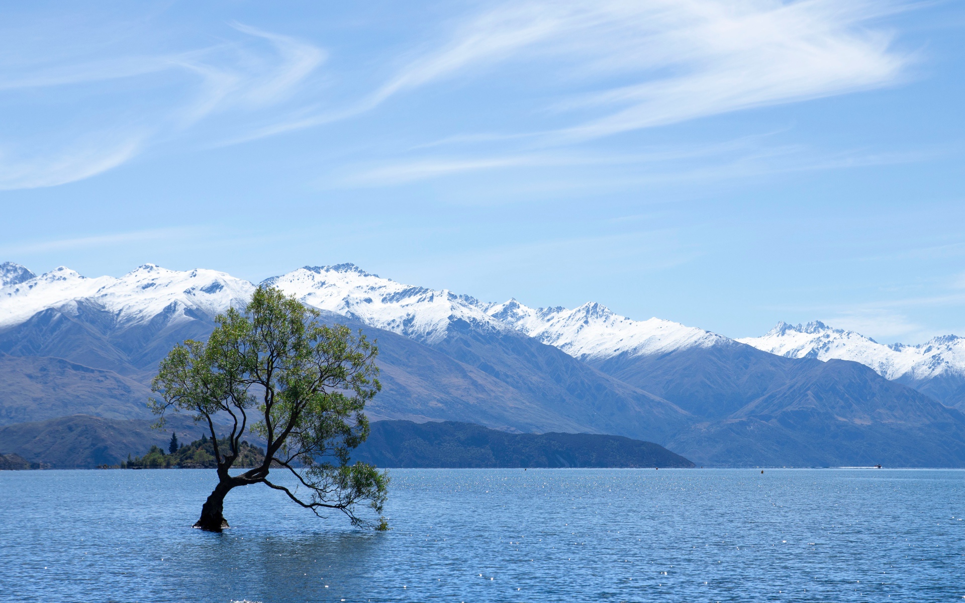 Одинокое дерево в воде на фоне гор под красивым небом