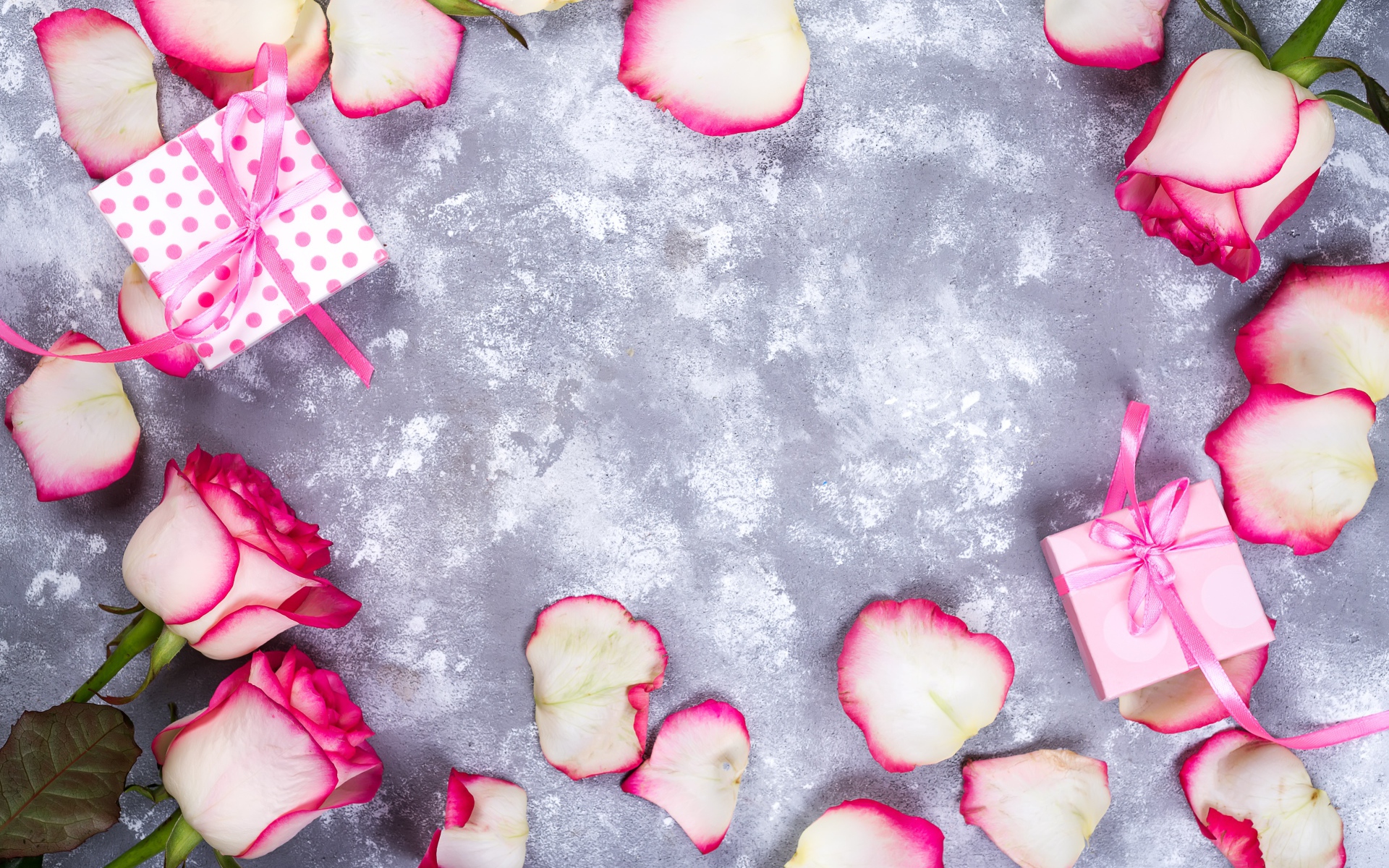 Красивые розовые розы с лепестками и подарками на сером фоне
