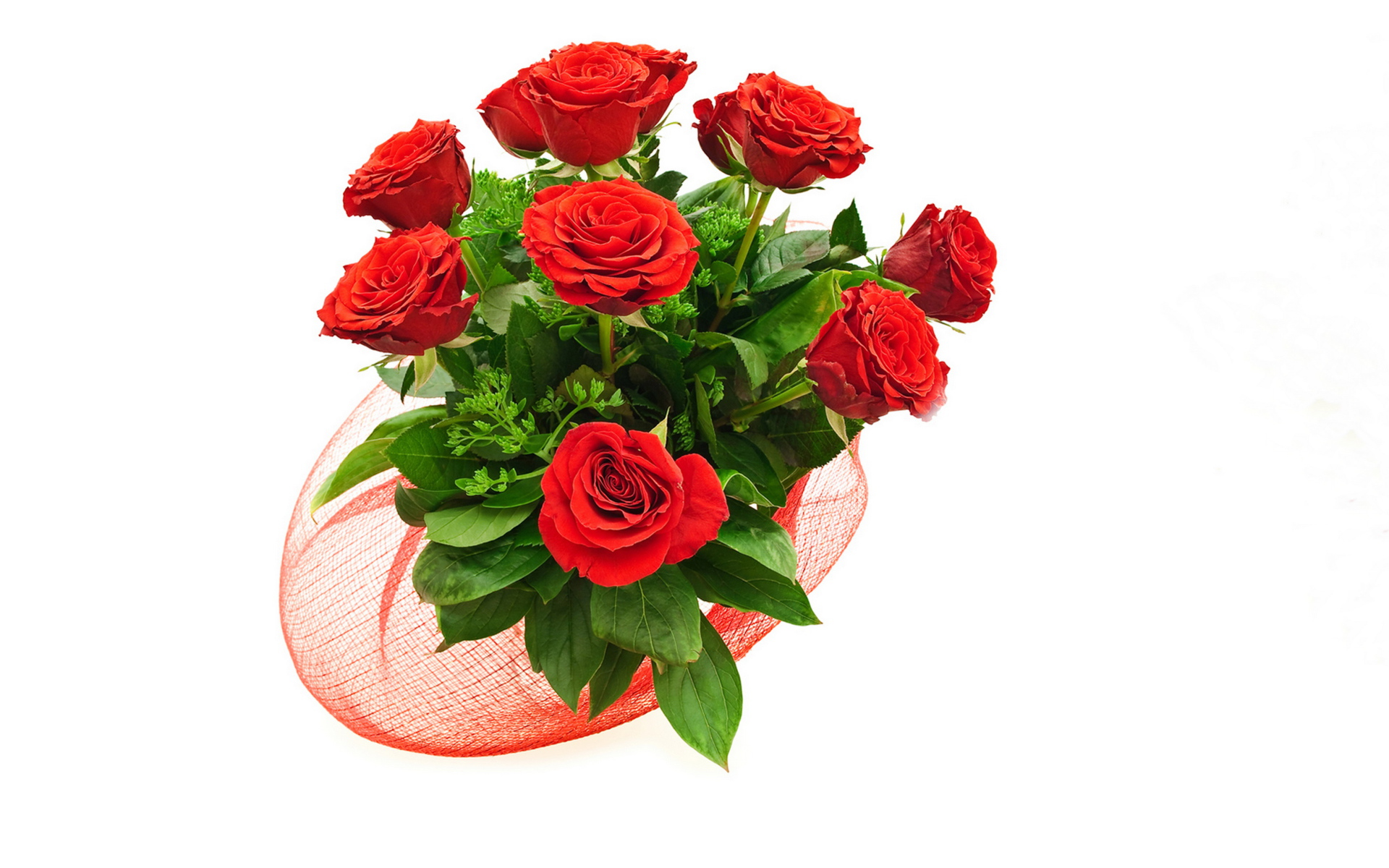 Букет красивых красных роз с зелеными листьями на белом фоне