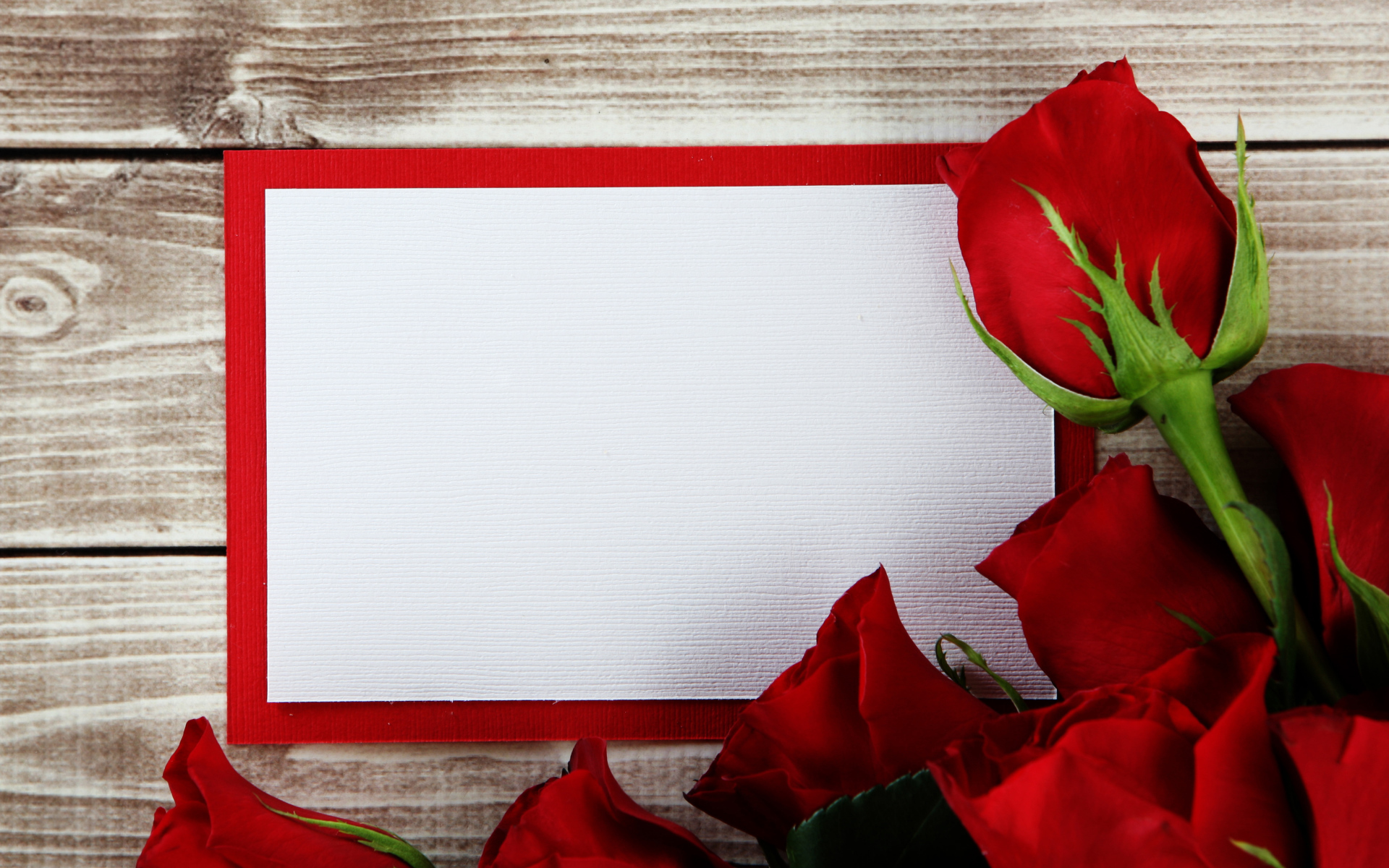 Букет роз  с листом бумаги в рамке фон для поздравительной открытки