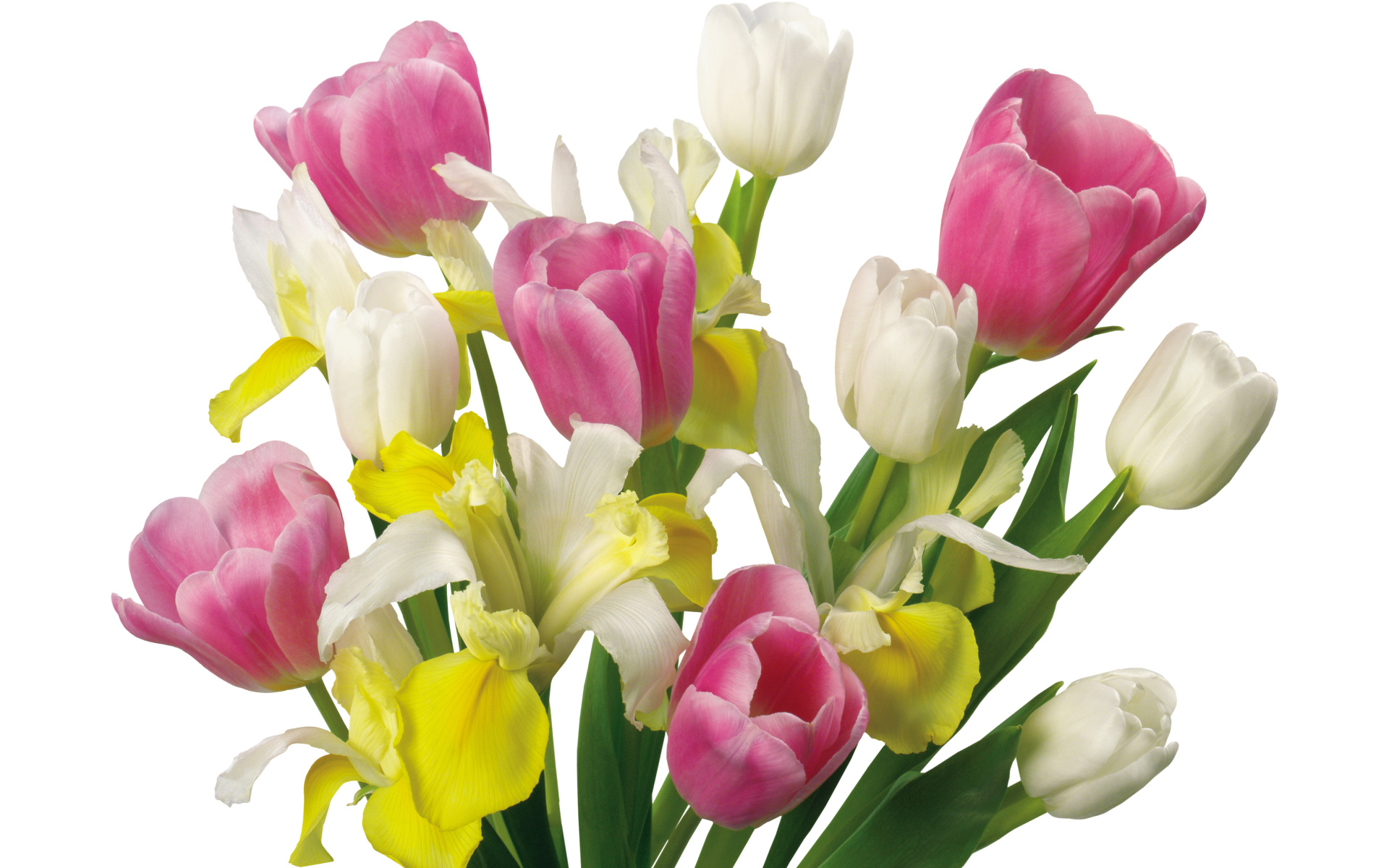 Букет желтых и розовых тюльпанов и ирисами на белом фоне