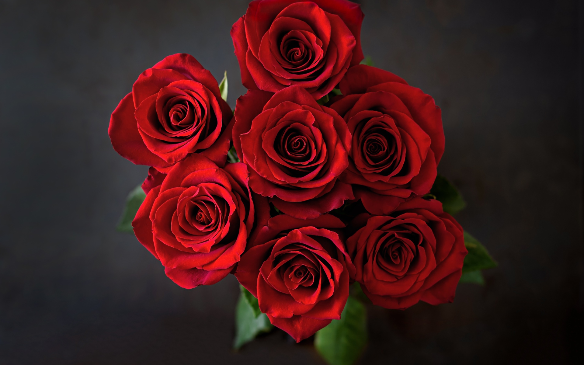 Букет красных роз вид сверху на сером фоне 