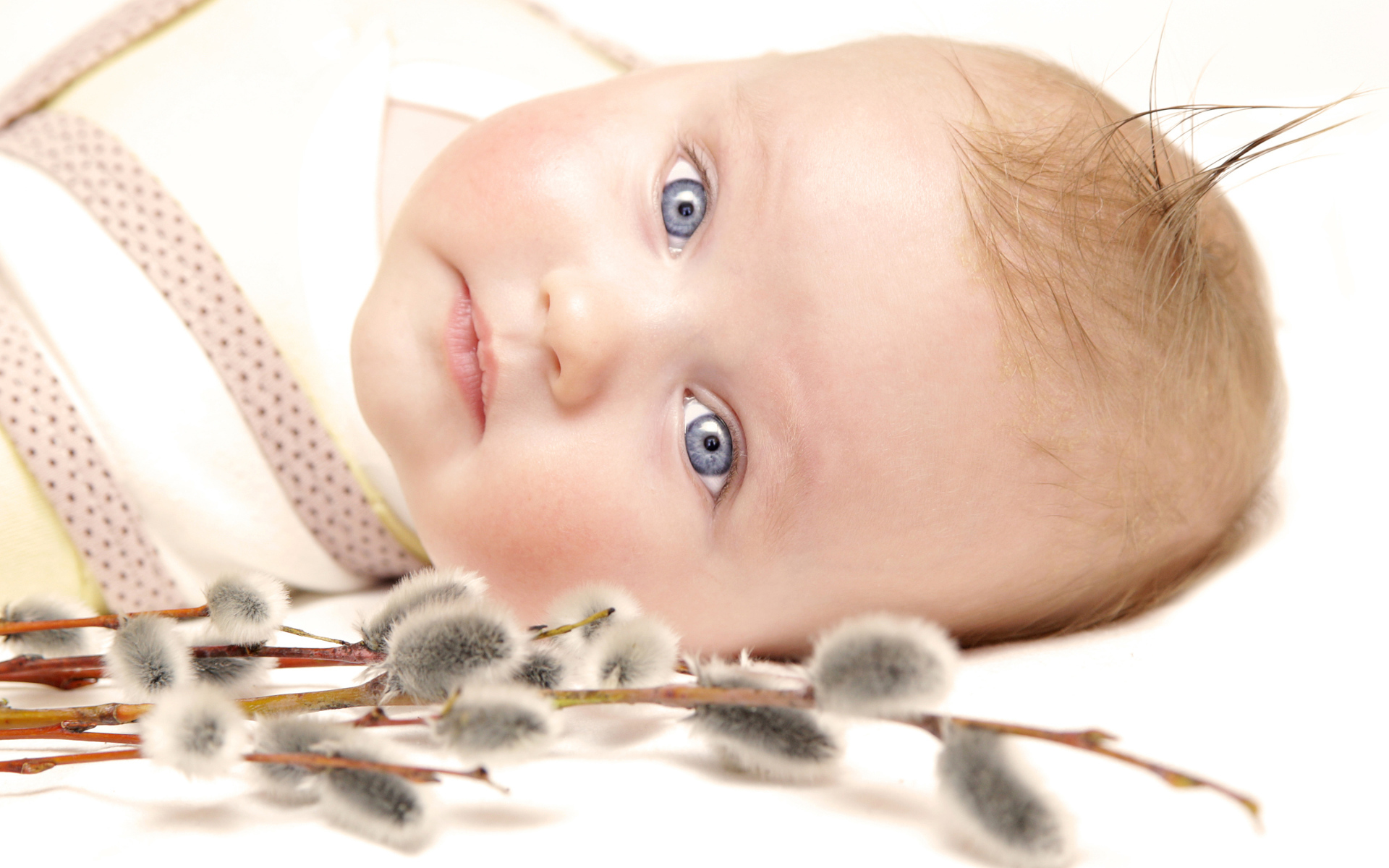 Маленький голубоглазый ребенок с веткой вербы