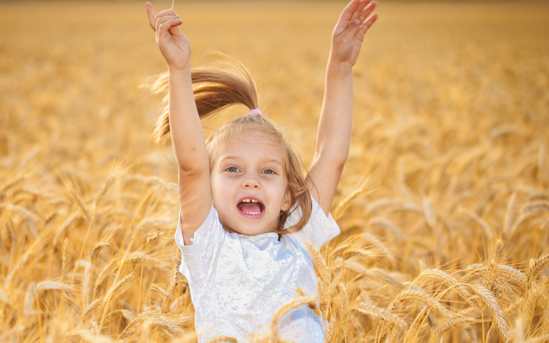 Маленькая веселая девочка в желтой пшенице