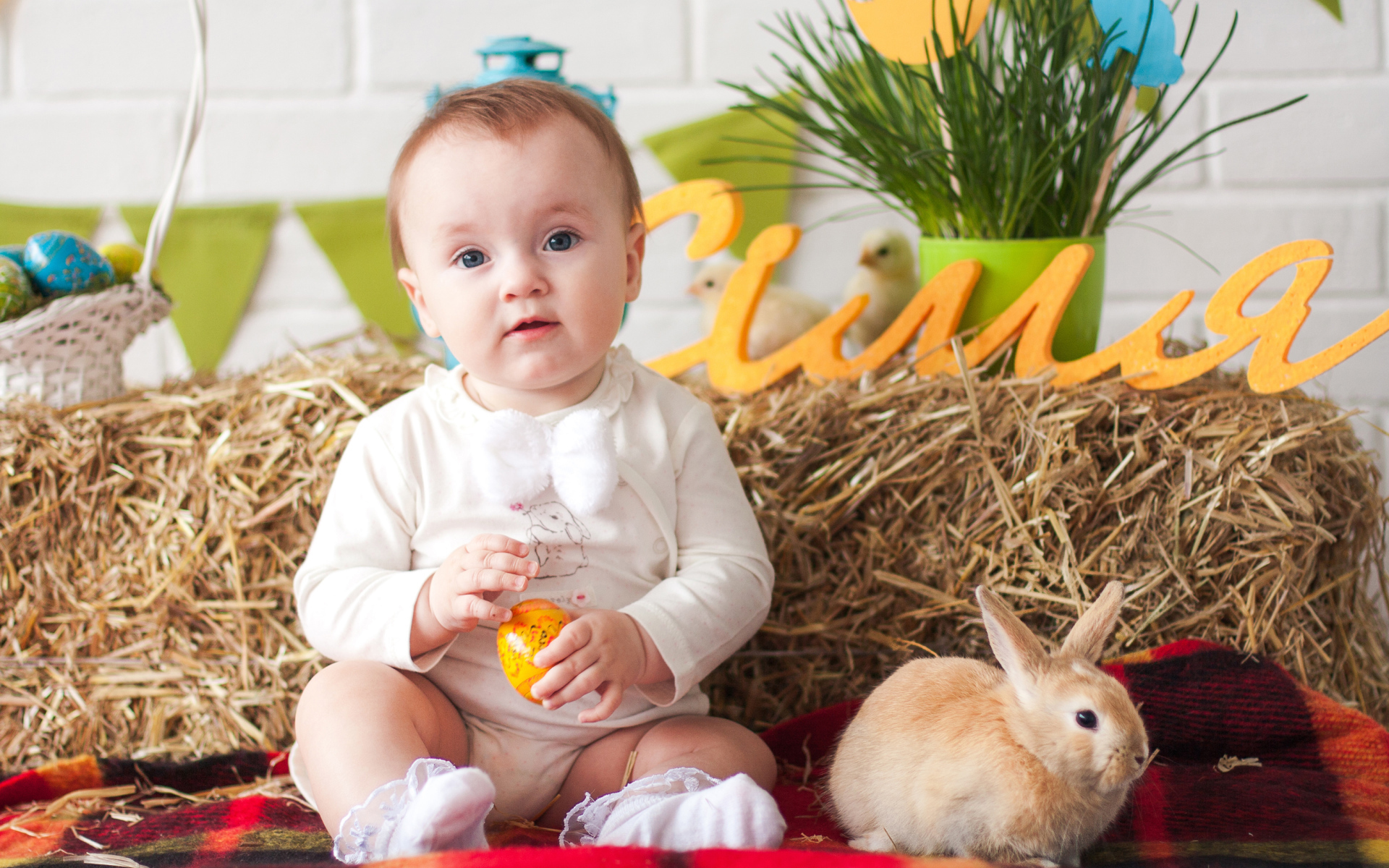 Маленький ребенок с крашеным яйцом и декоративным кроликом