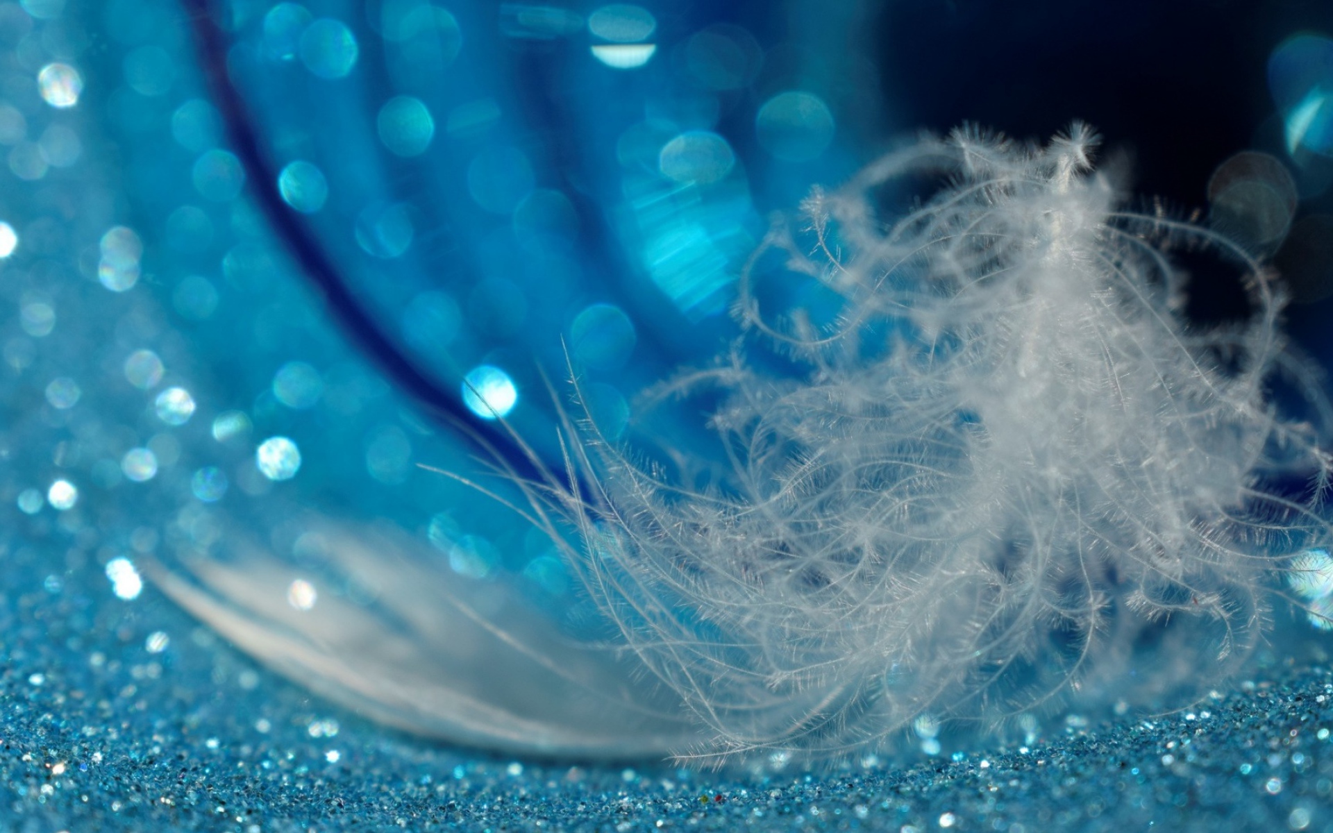 Белое легкое перо лежит на блестящей голубой поверхности 