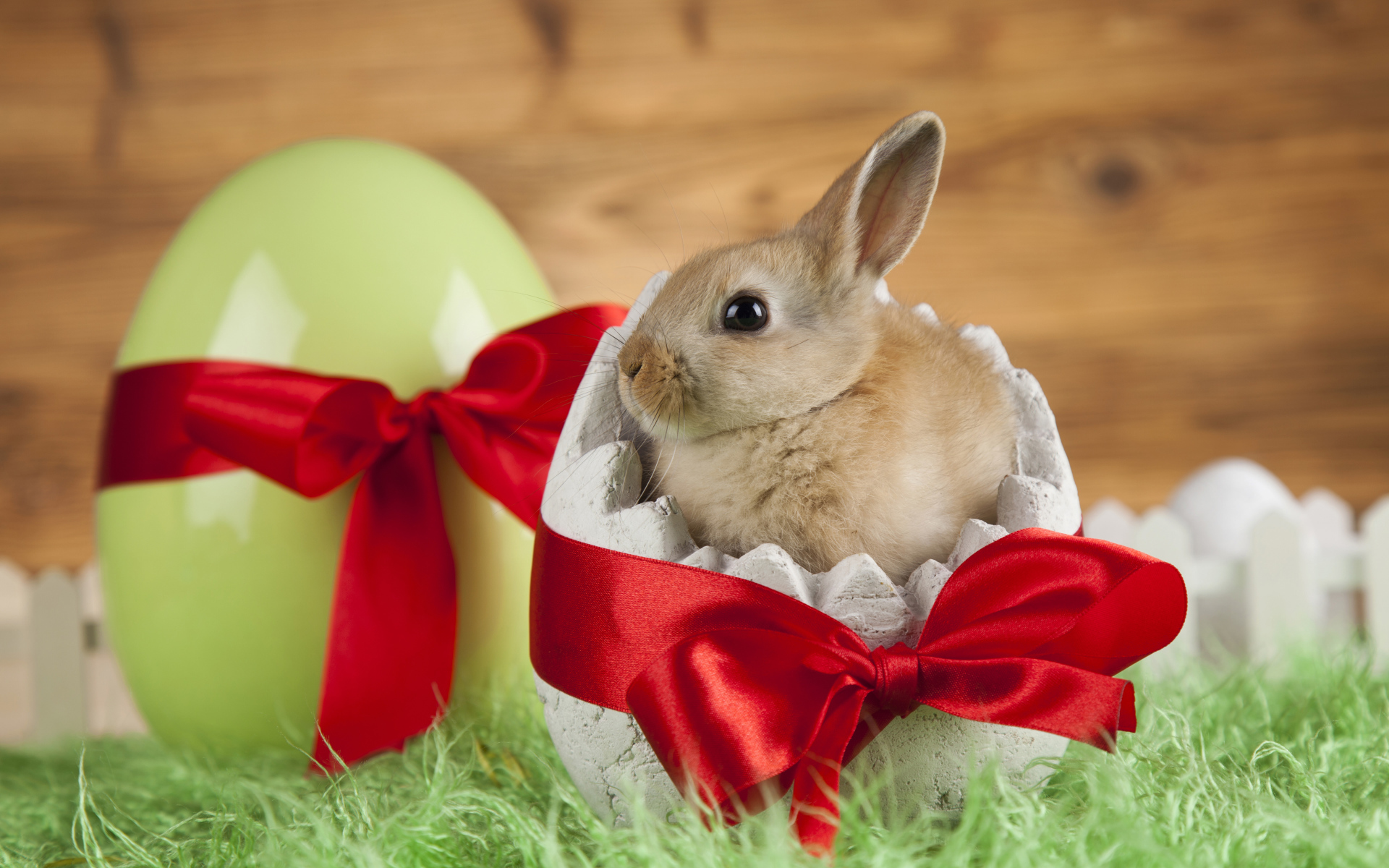 Маленький декоративный кролик в яйце с красным бантом