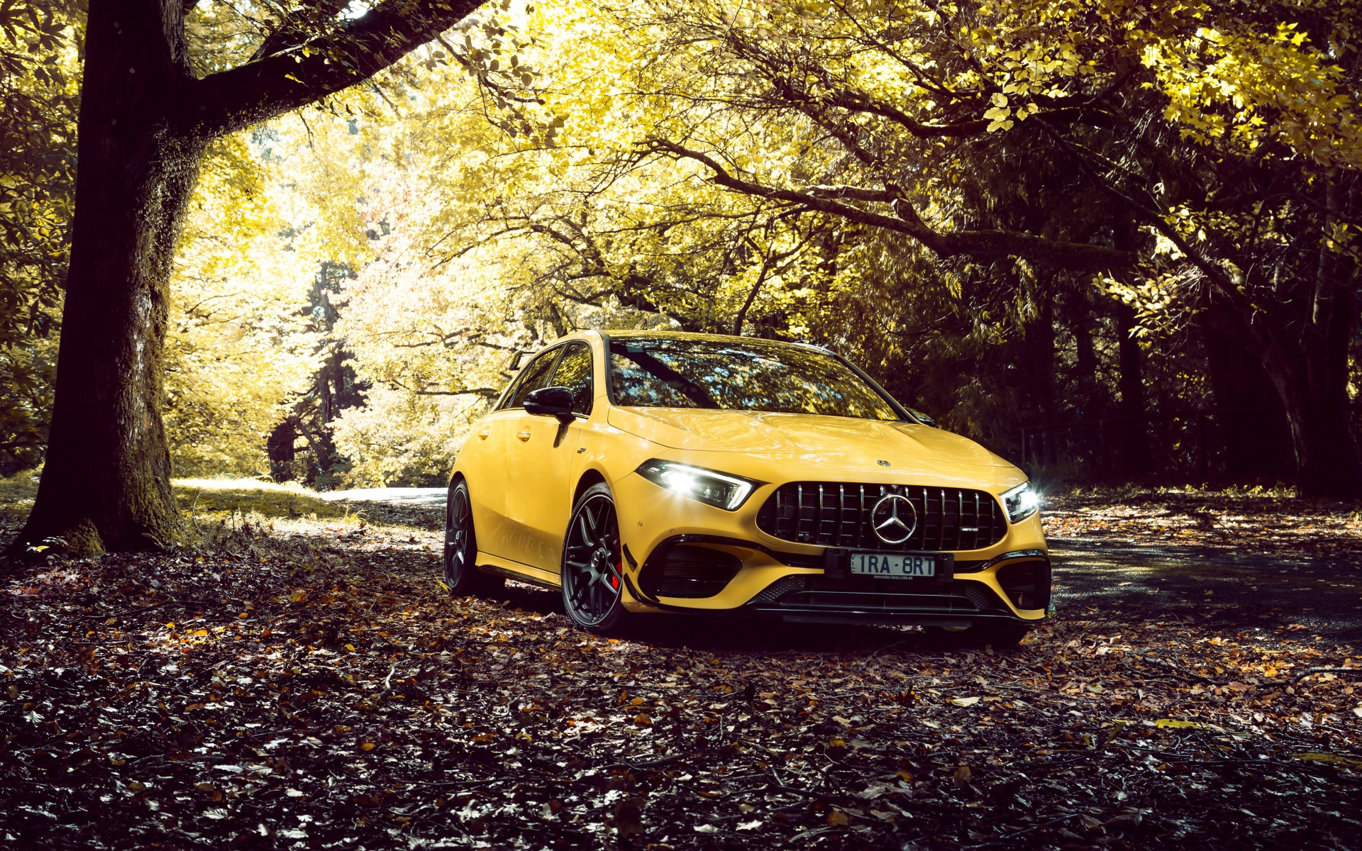 Желтый автомобиль Mercedes-AMG A 45 S,  2020 года в осеннем лесу 