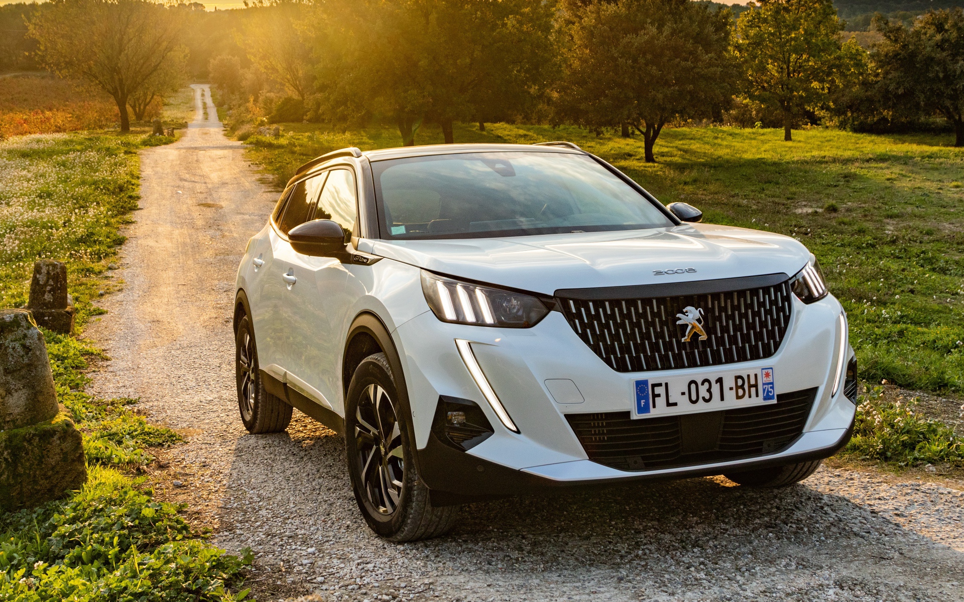 Белый внедорожник Peugeot 2008 GT Line 2019 года на дороге в лесу