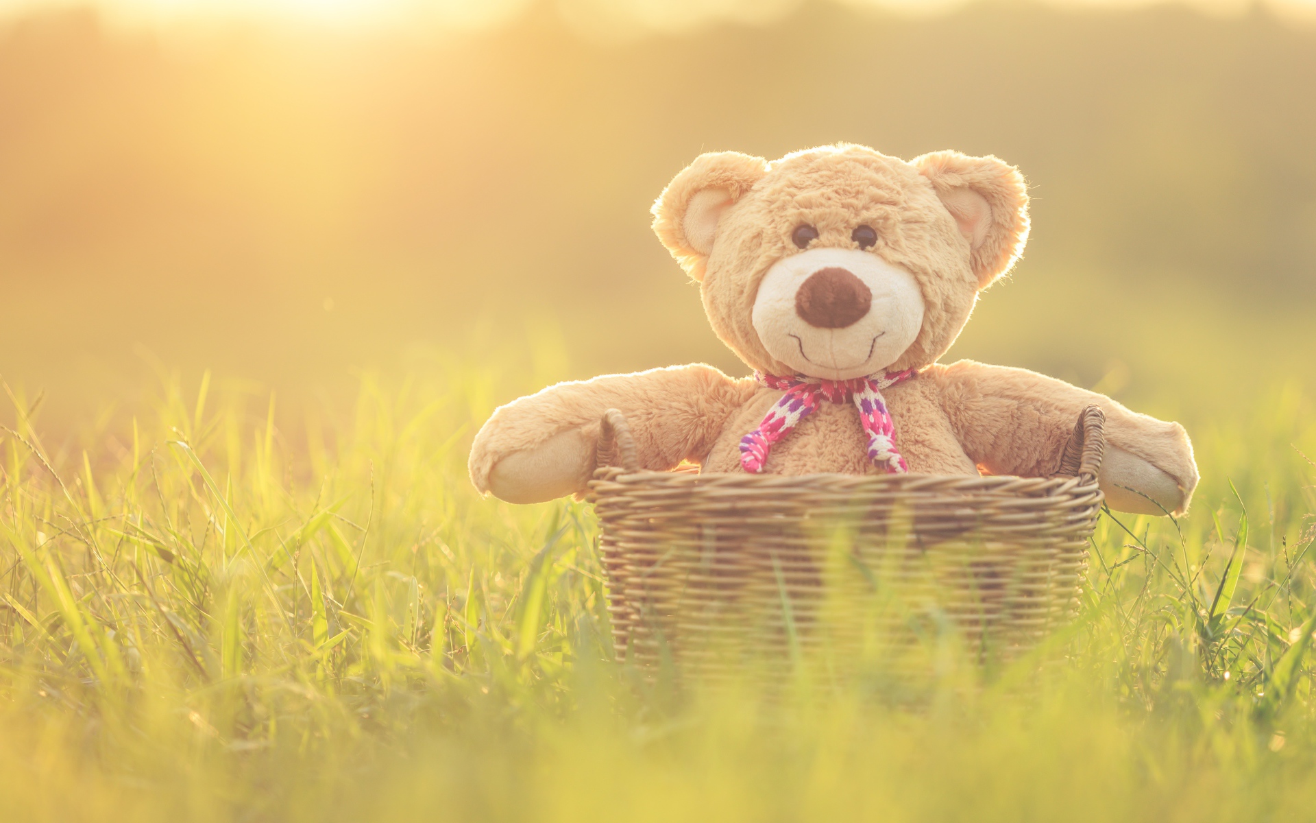 Плюшевый медведь в корзине стоит на зеленой траве