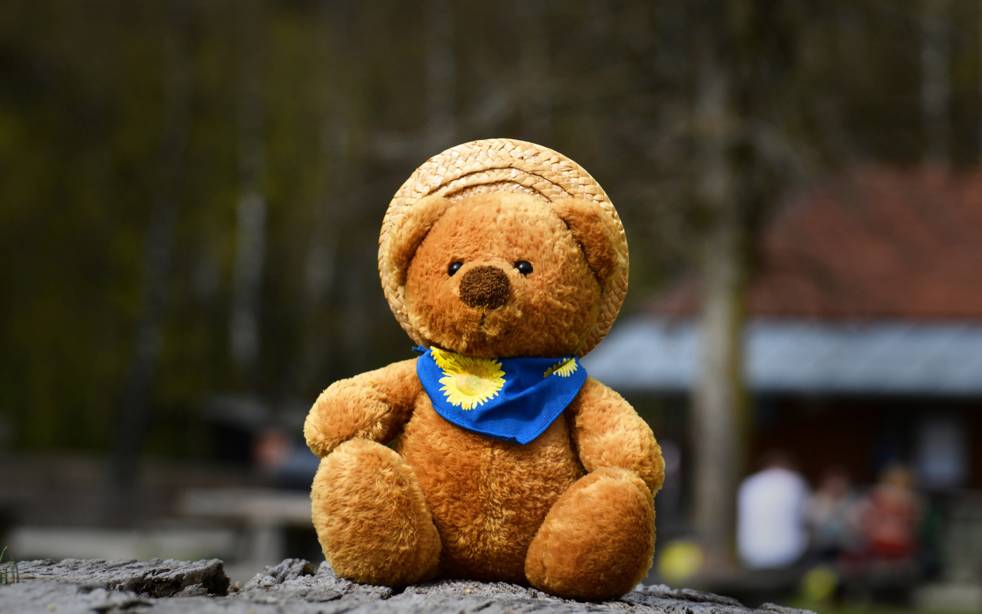 Плюшевый медвежонок в шляпе на земле 